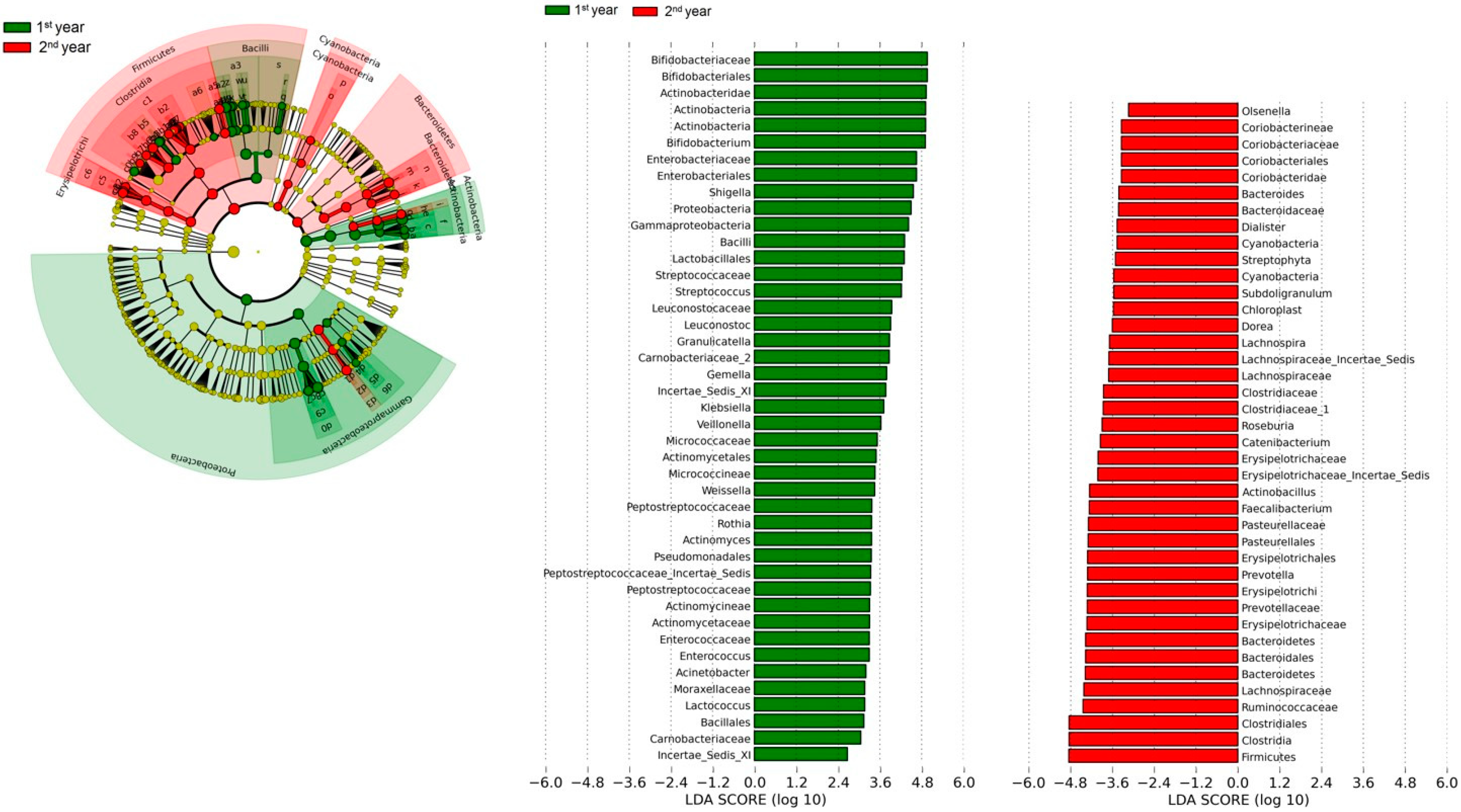 Nutrients 15 01213 g006 Nutrients 15 01213 g006