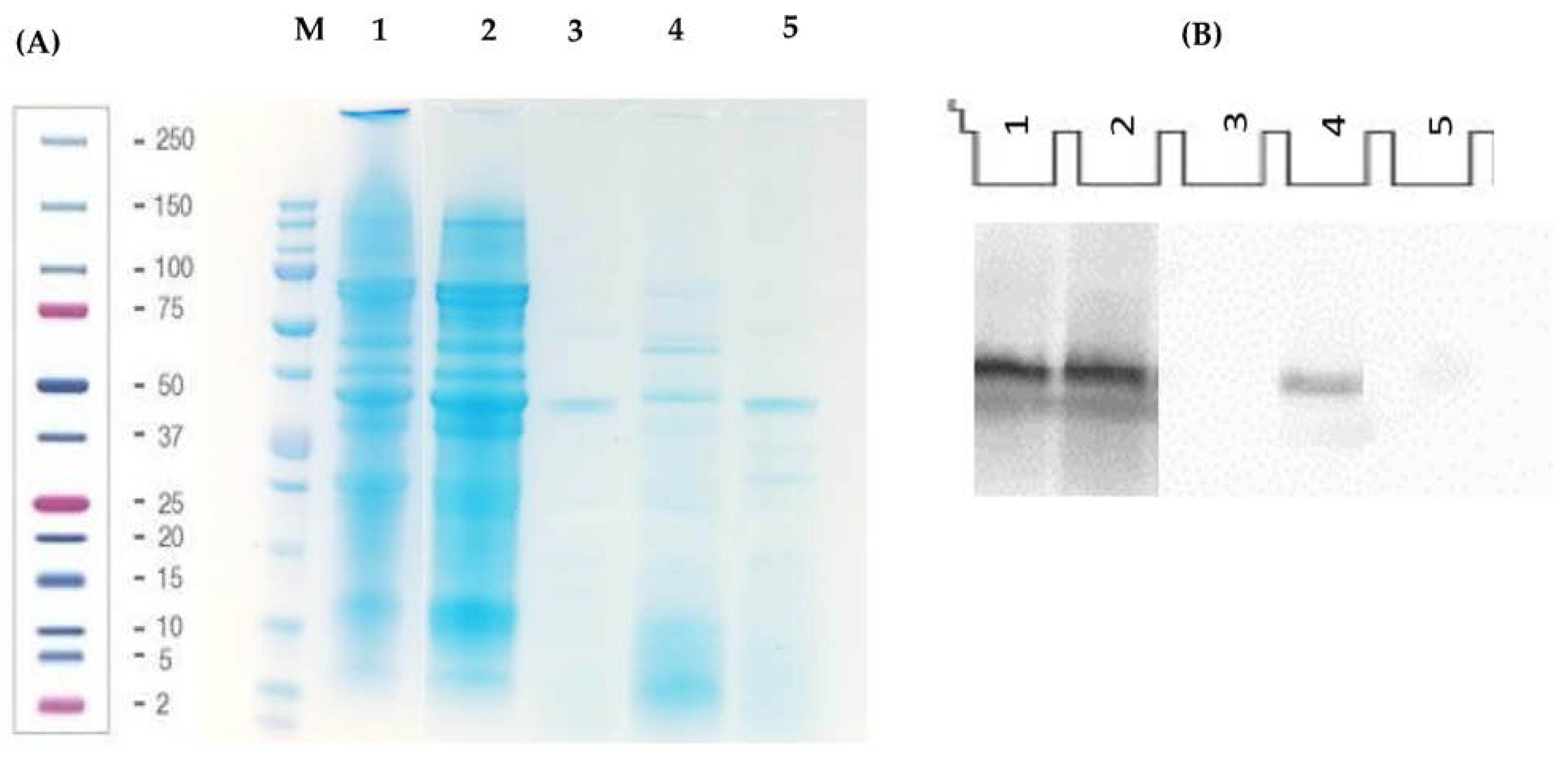Nutrients 15 01220 g001 Nutrients 15 01220 g001