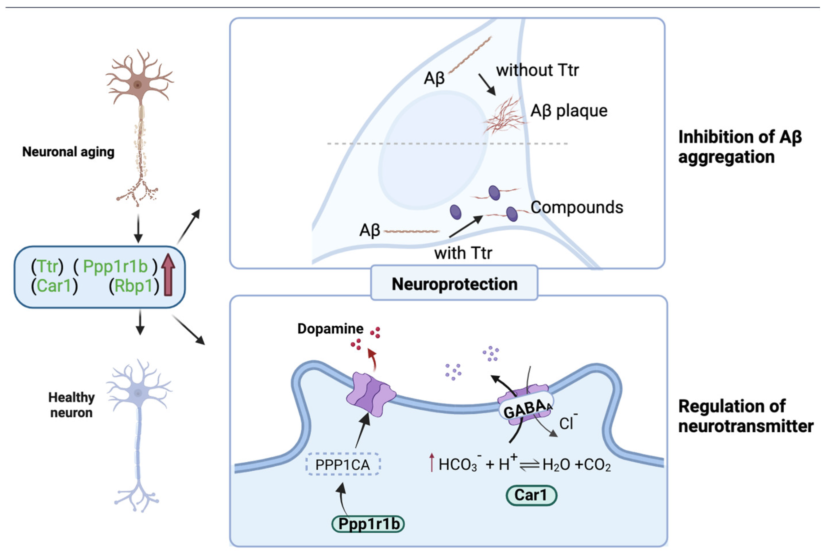 Nutrients 15 01228 g010 Nutrients 15 01228 g010