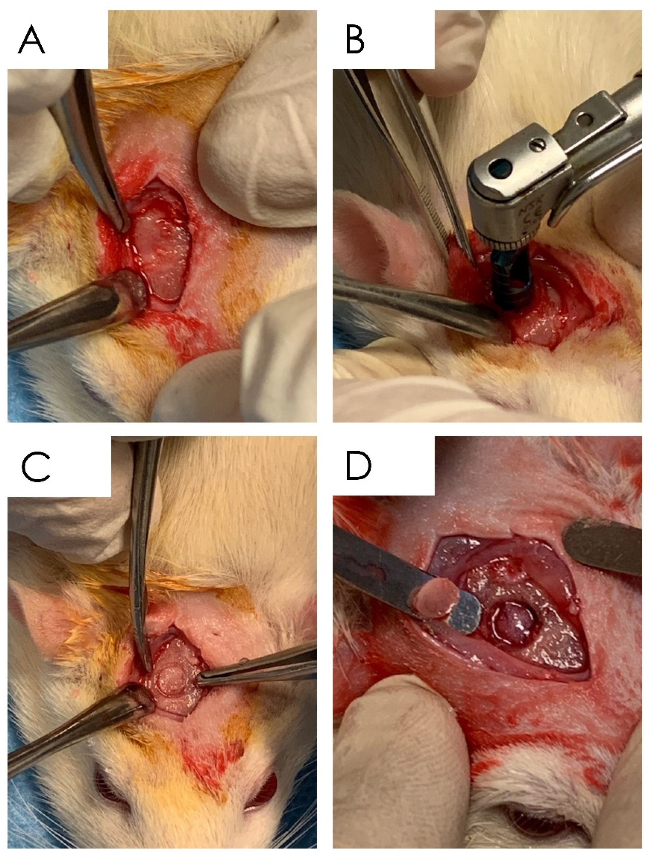 Nutrients 15 01235 g001