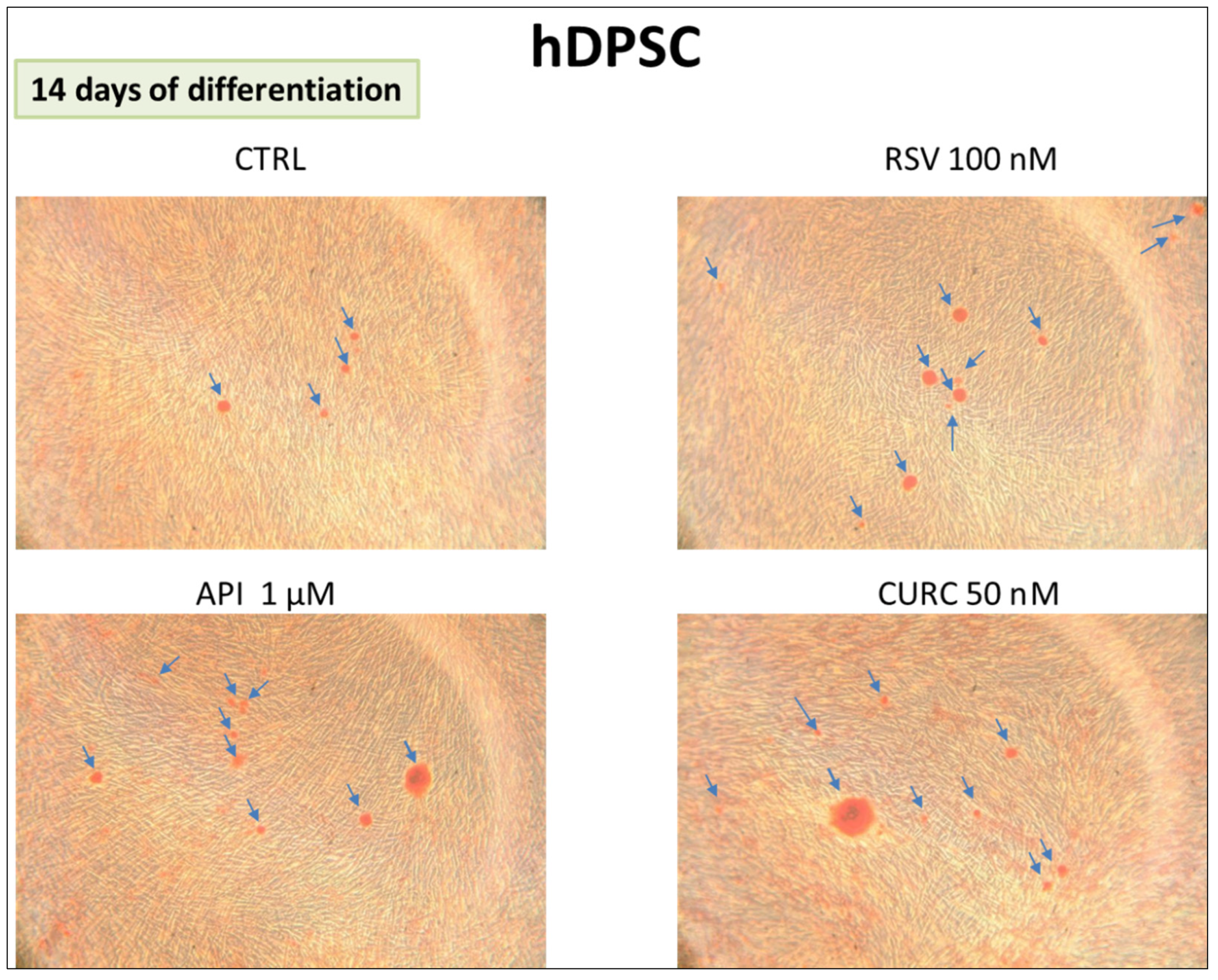 Nutrients 15 01235 g003