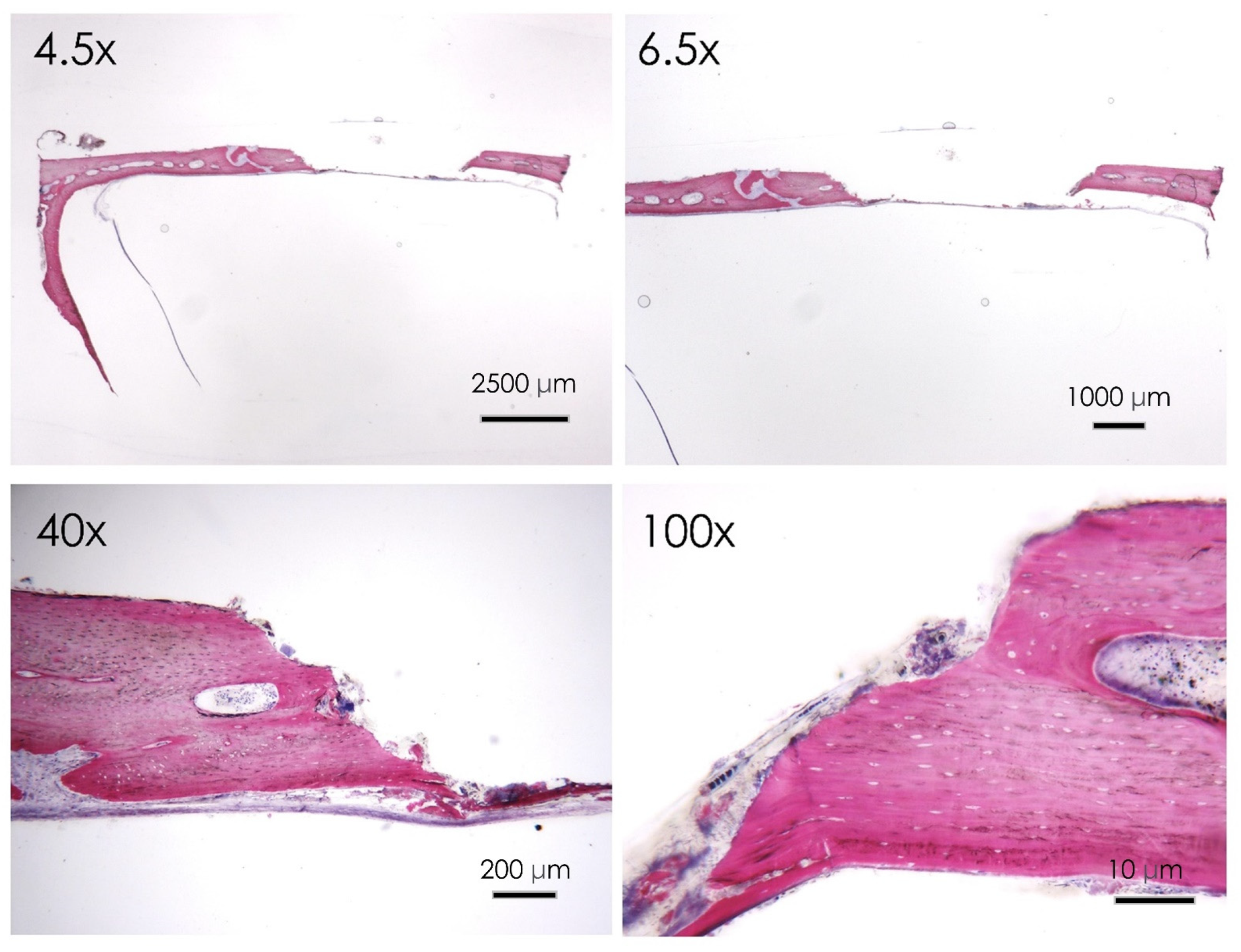 Nutrients 15 01235 g006