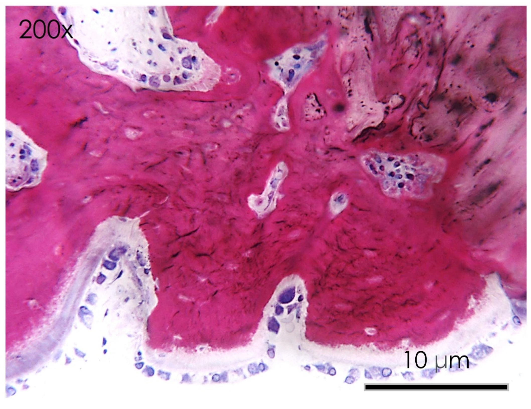 Nutrients 15 01235 g008