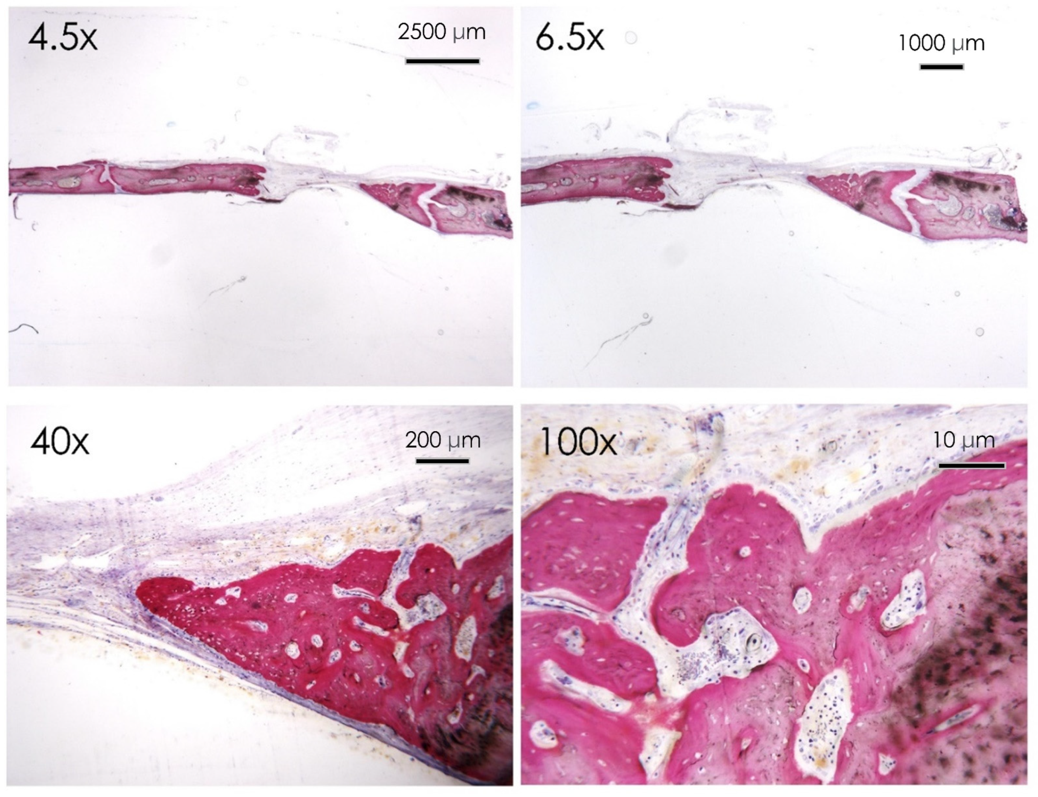 Nutrients 15 01235 g009