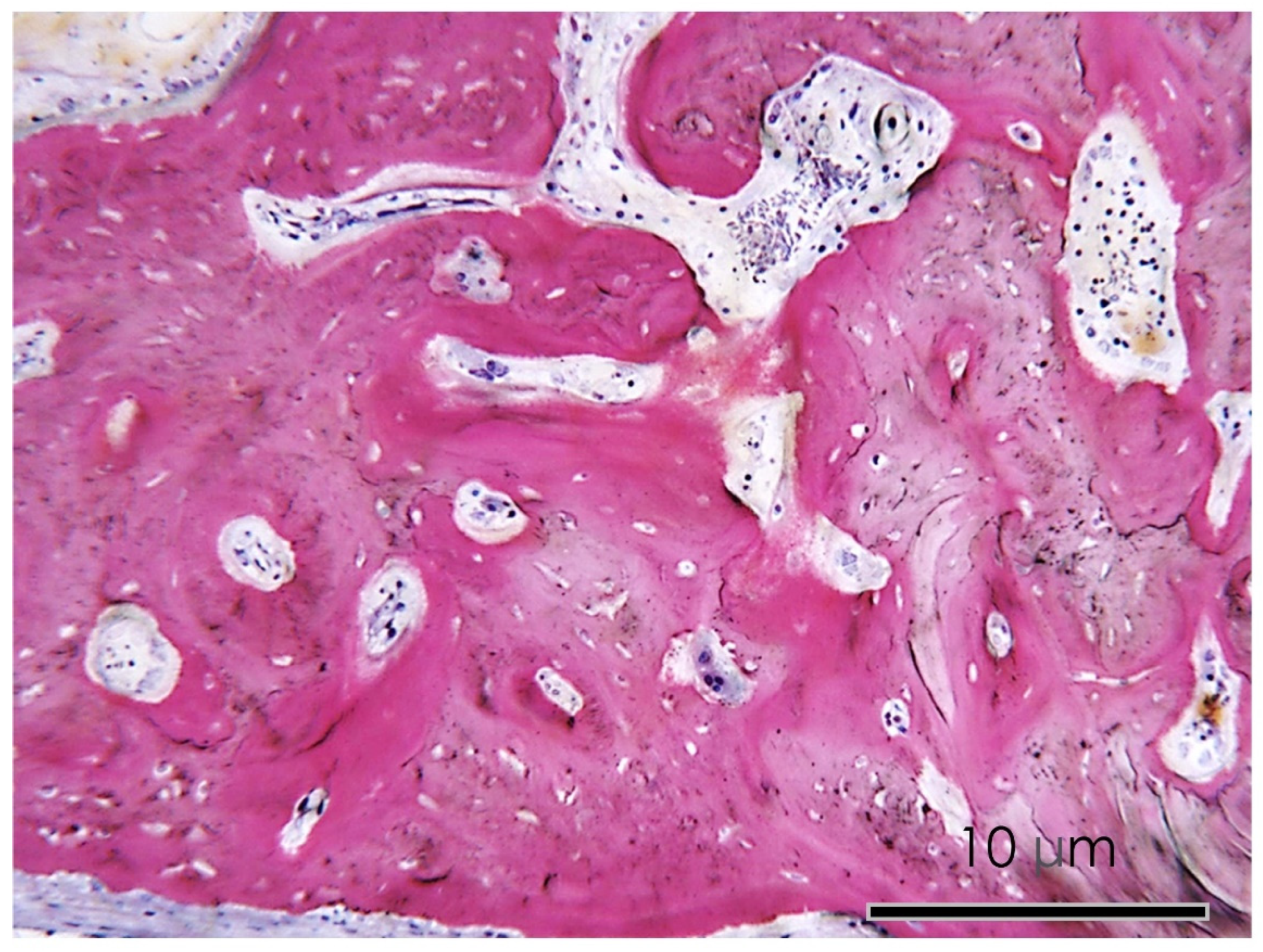 Nutrients 15 01235 g010