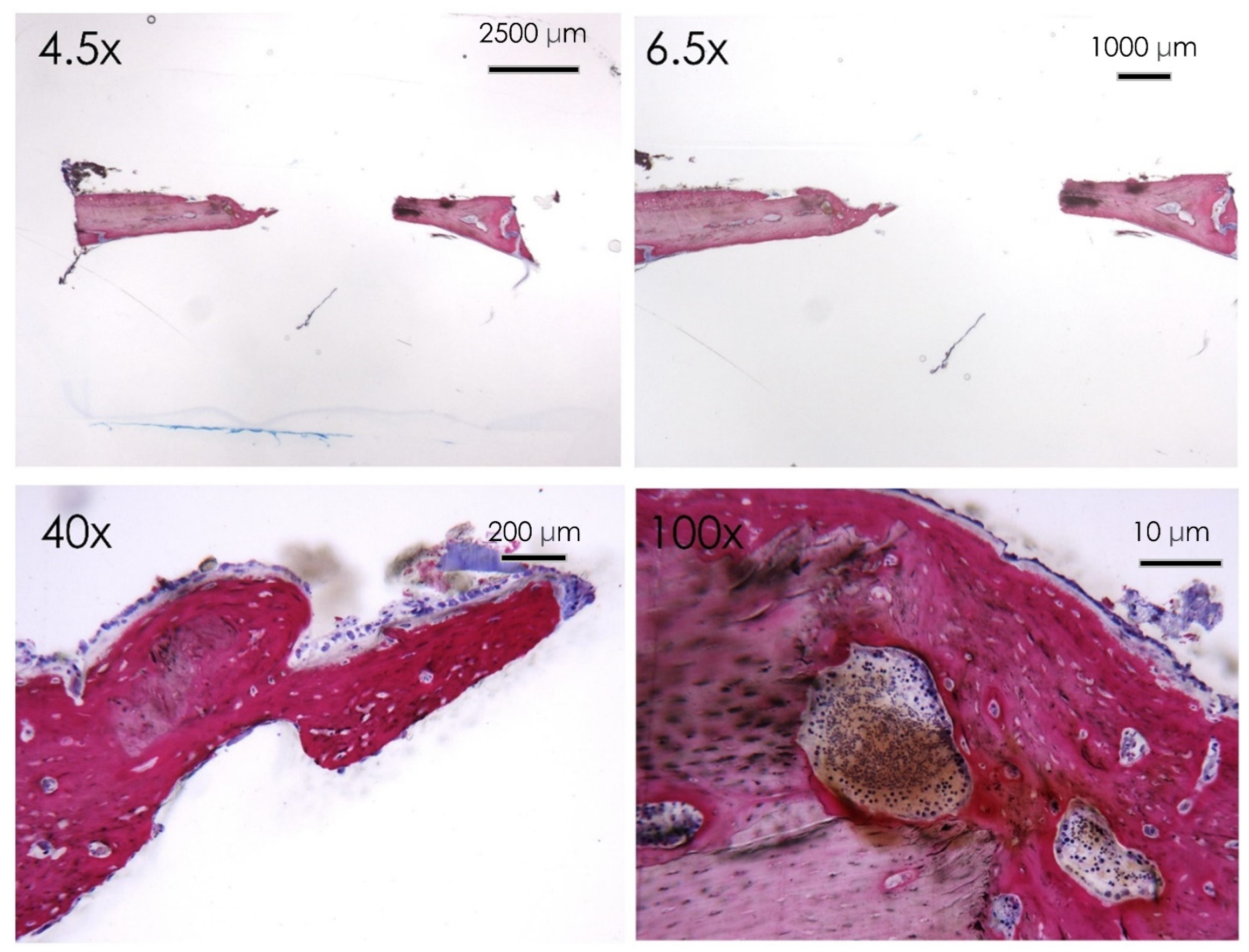 Nutrients 15 01235 g011