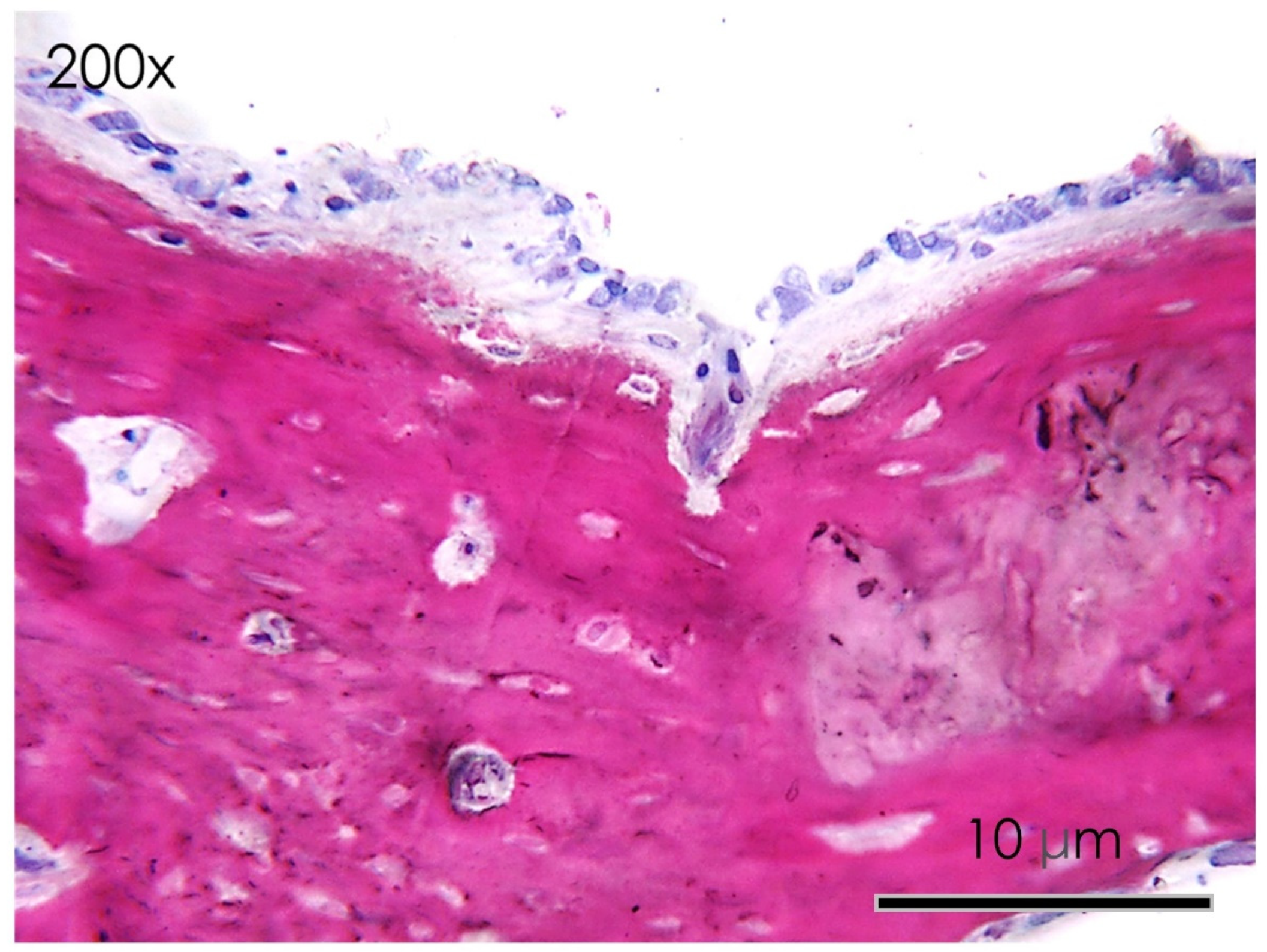 Nutrients 15 01235 g012