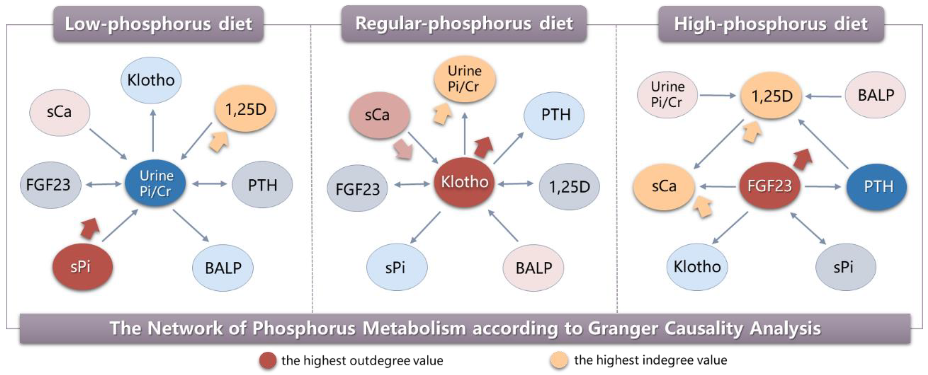 Nutrients Free FullText Focusing on Phosphorus Loads From Healthy