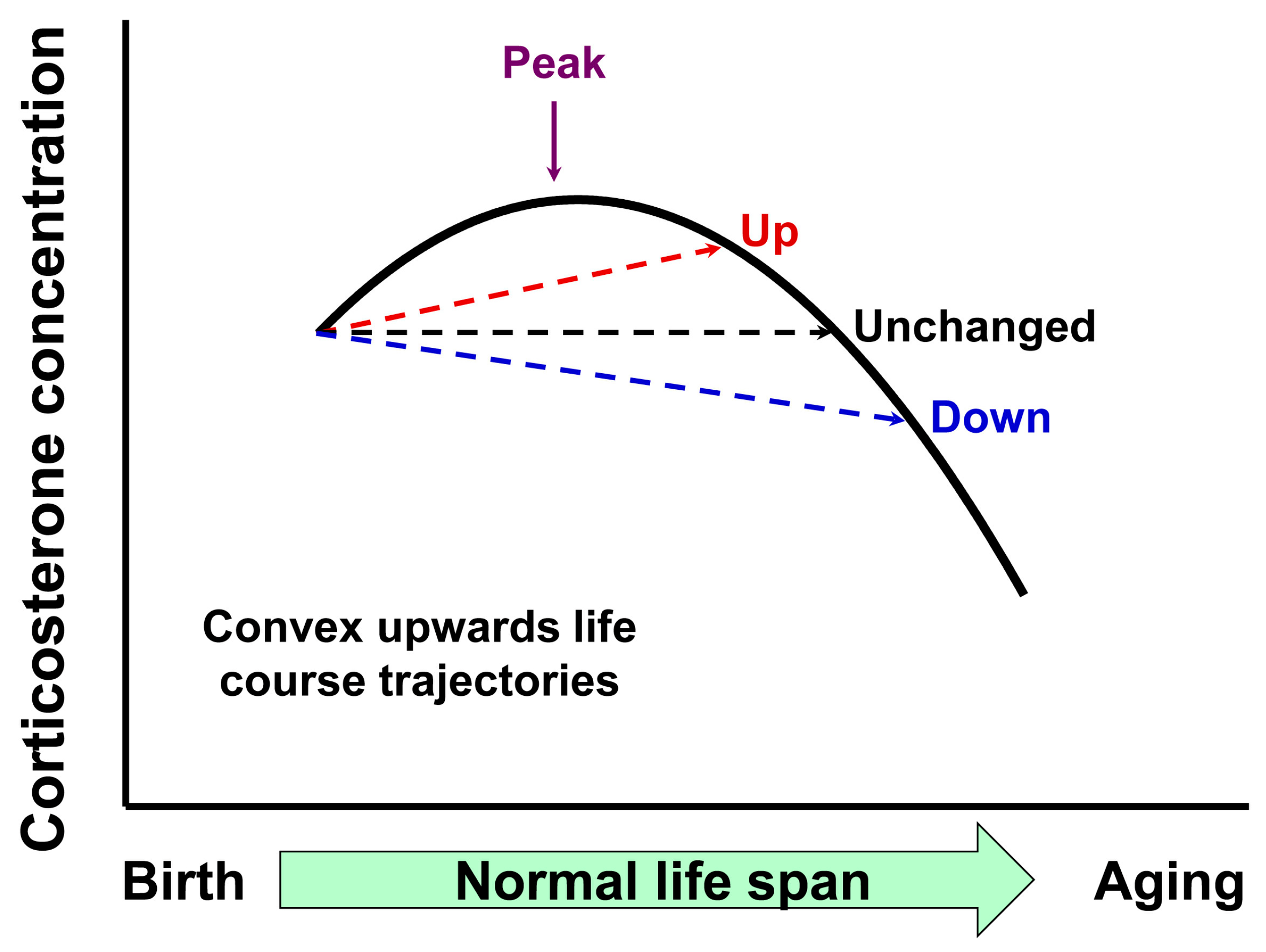 Nutrients 15 01239 g006 Nutrients 15 01239 g006