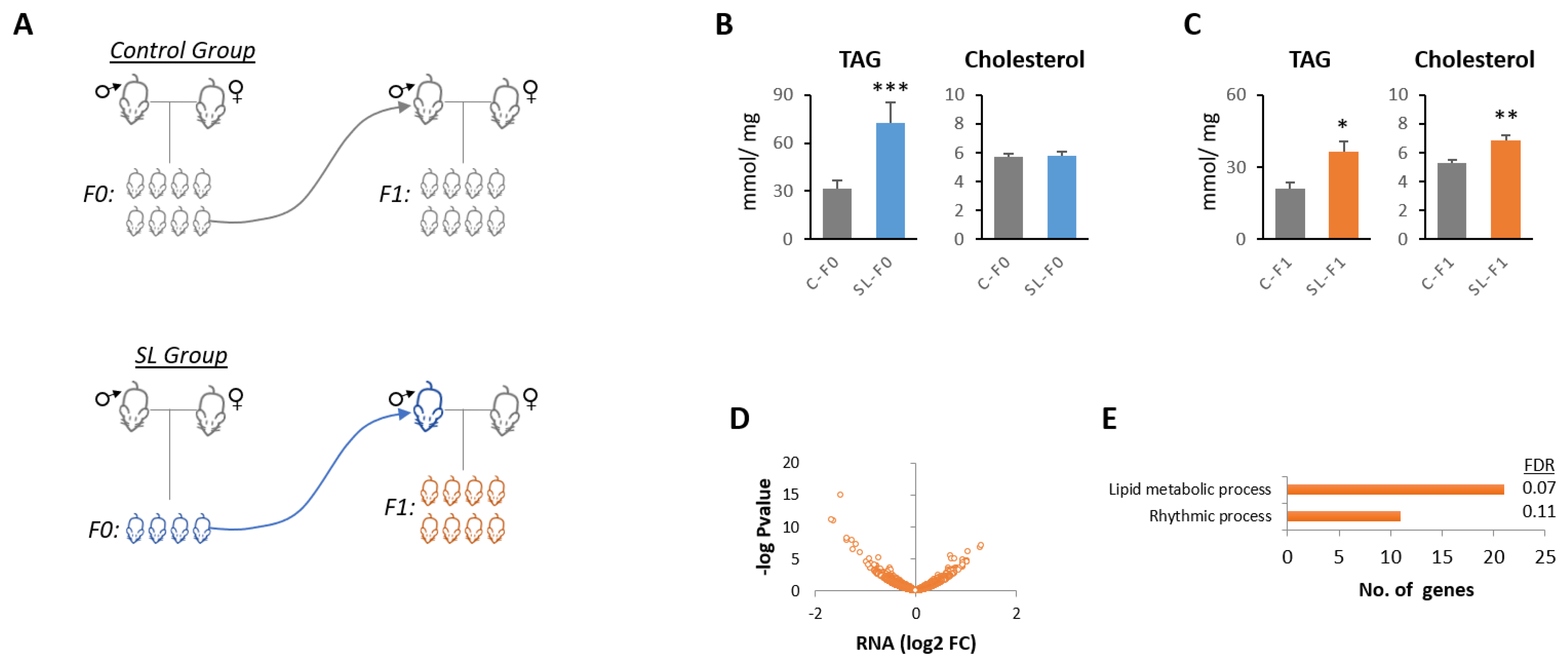 Nutrients 15 01241 g001