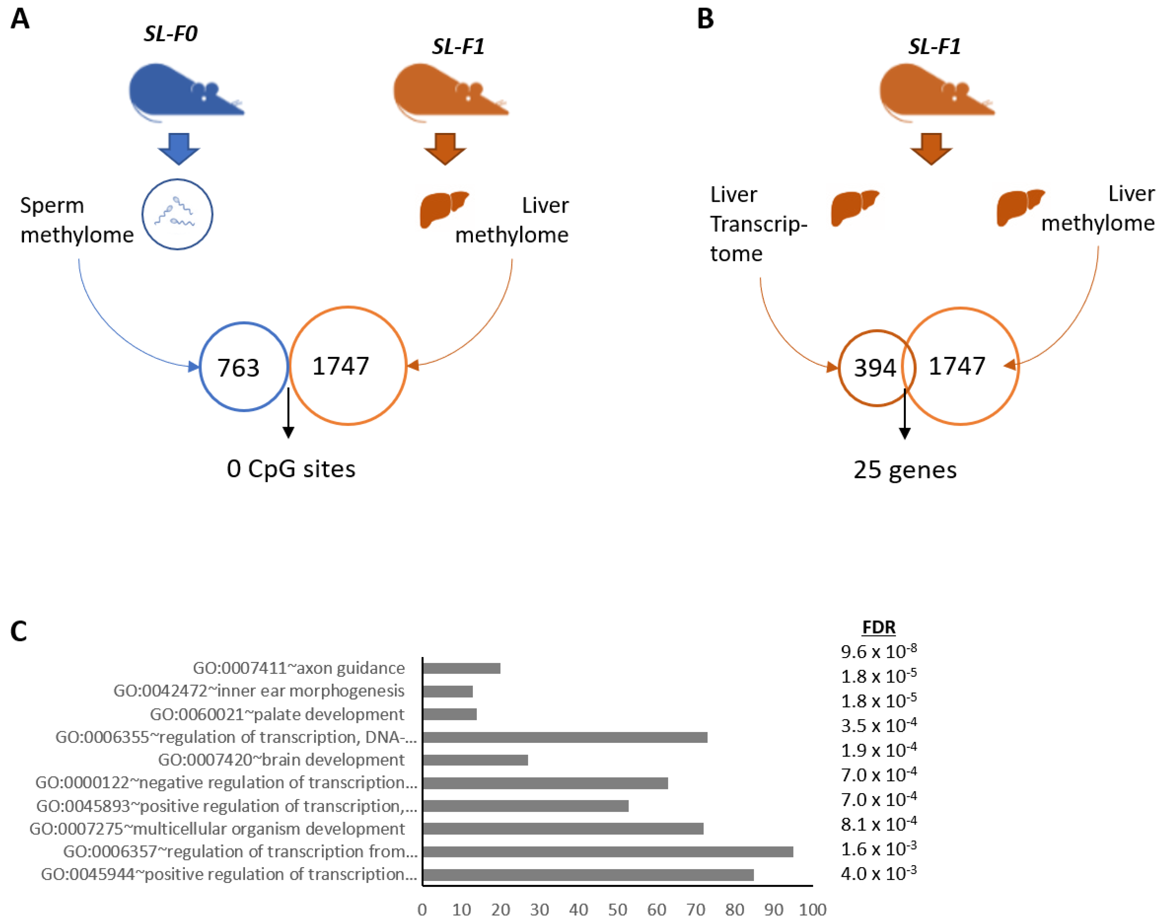 Nutrients 15 01241 g003