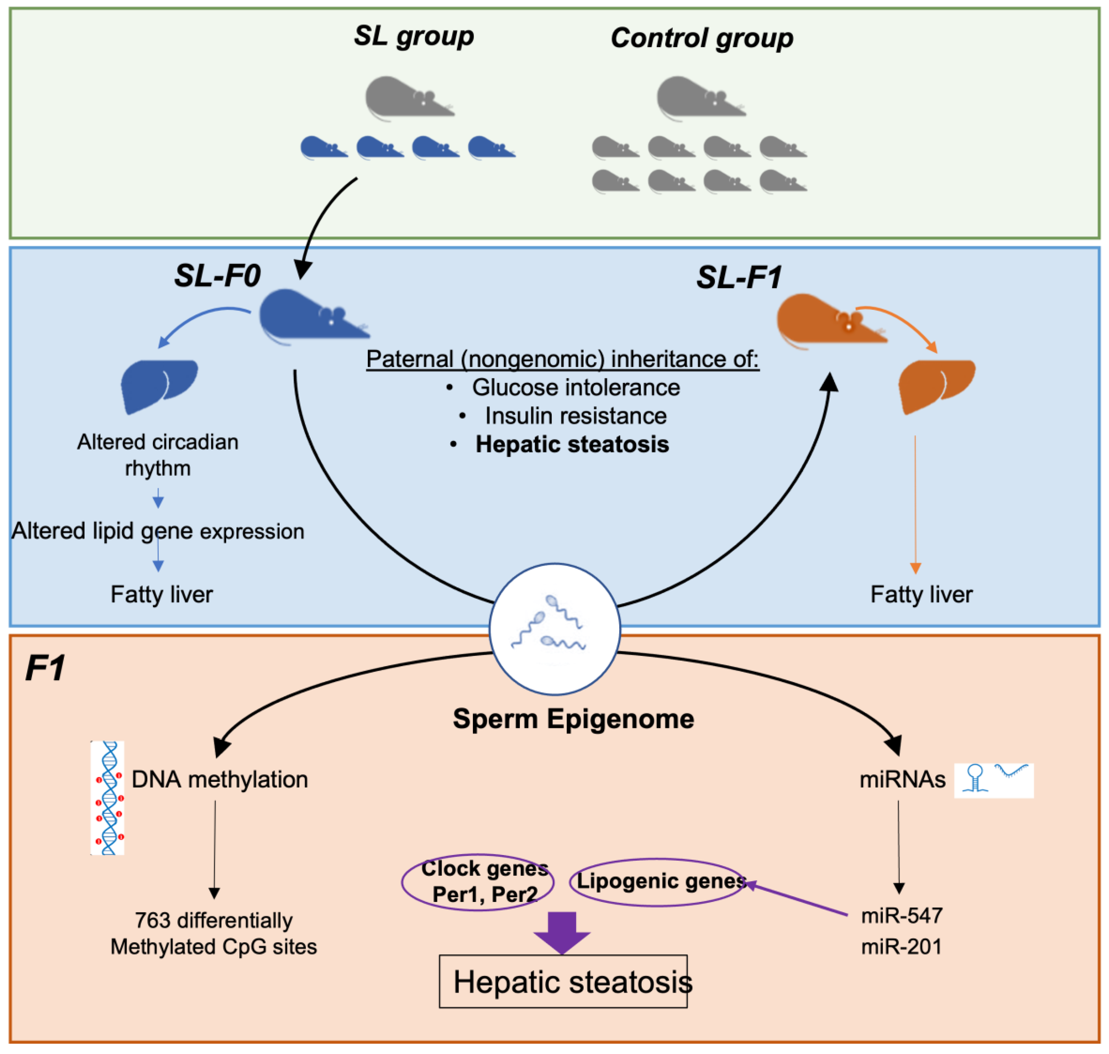 Nutrients 15 01241 g005
