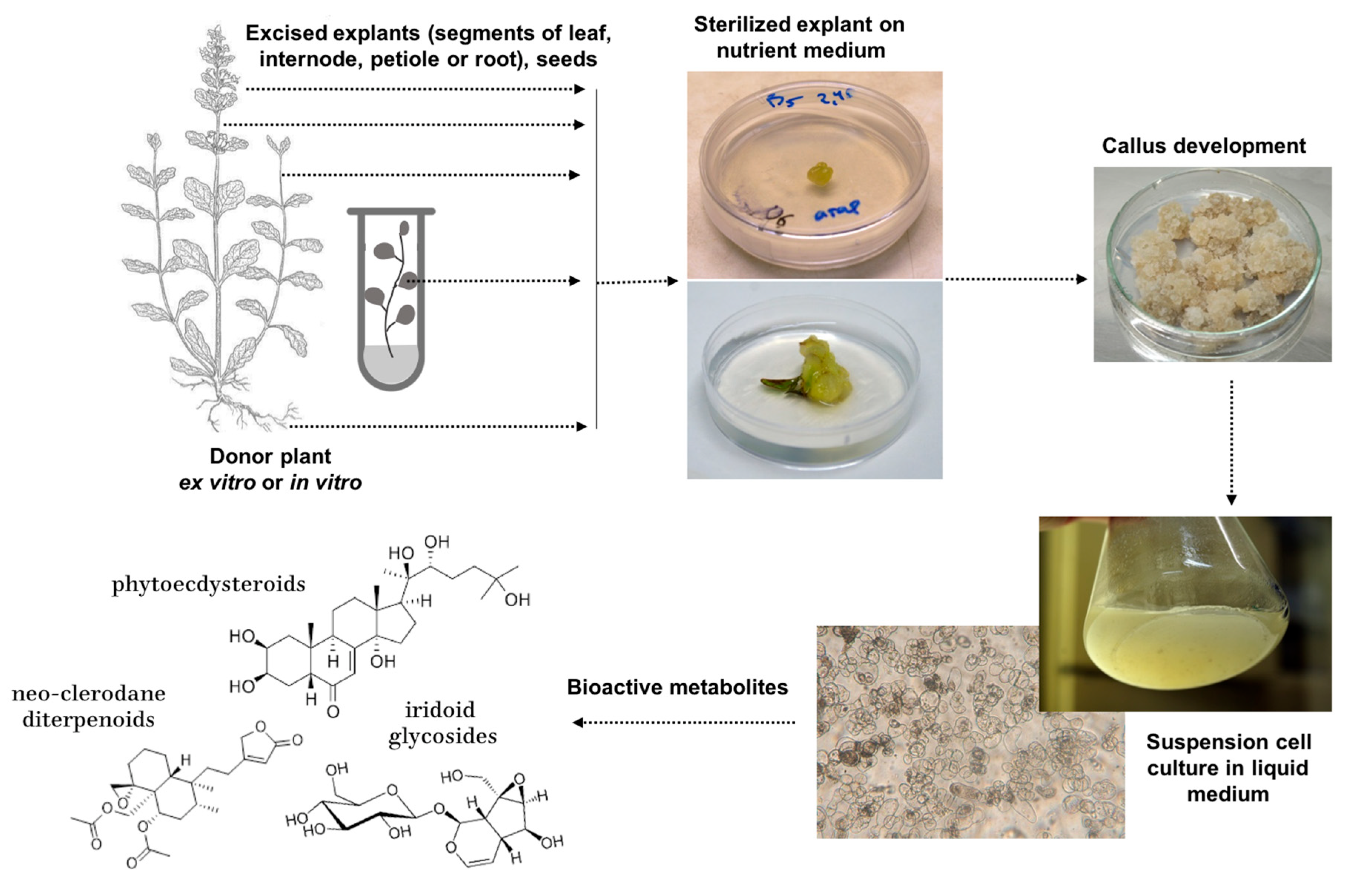 Nutrients 15 01246 g001