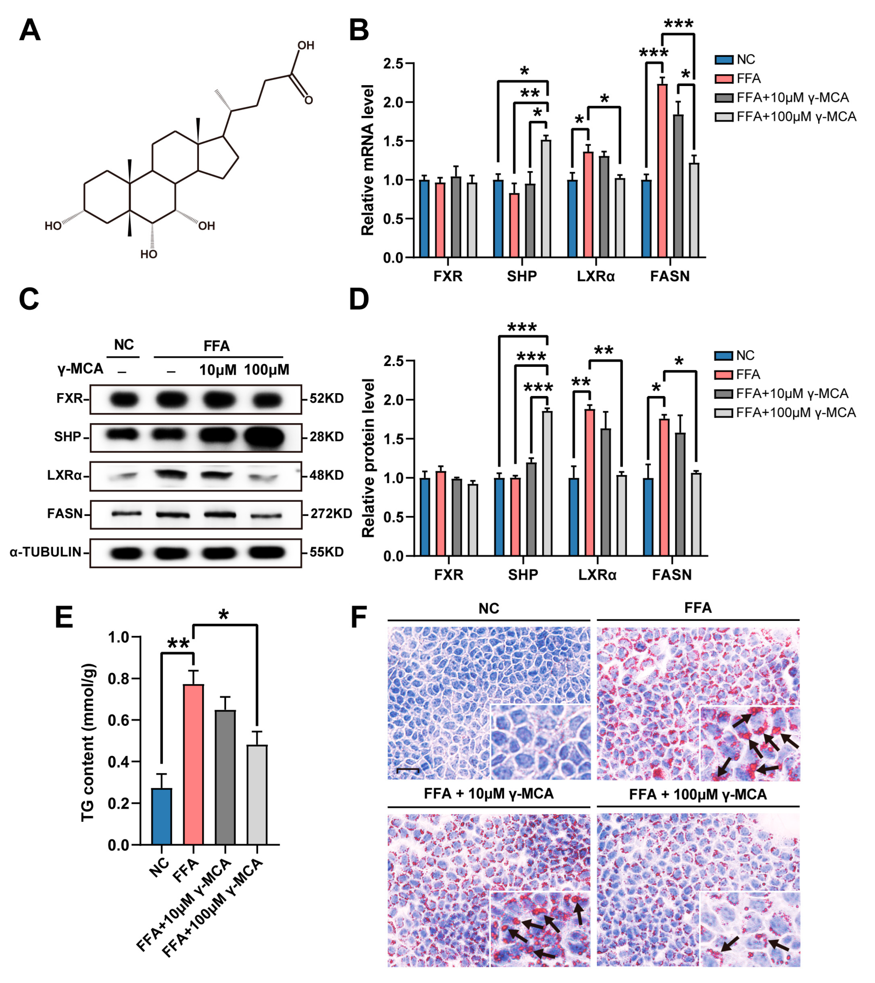 Nutrients 15 01255 g001 Nutrients 15 01255 g001