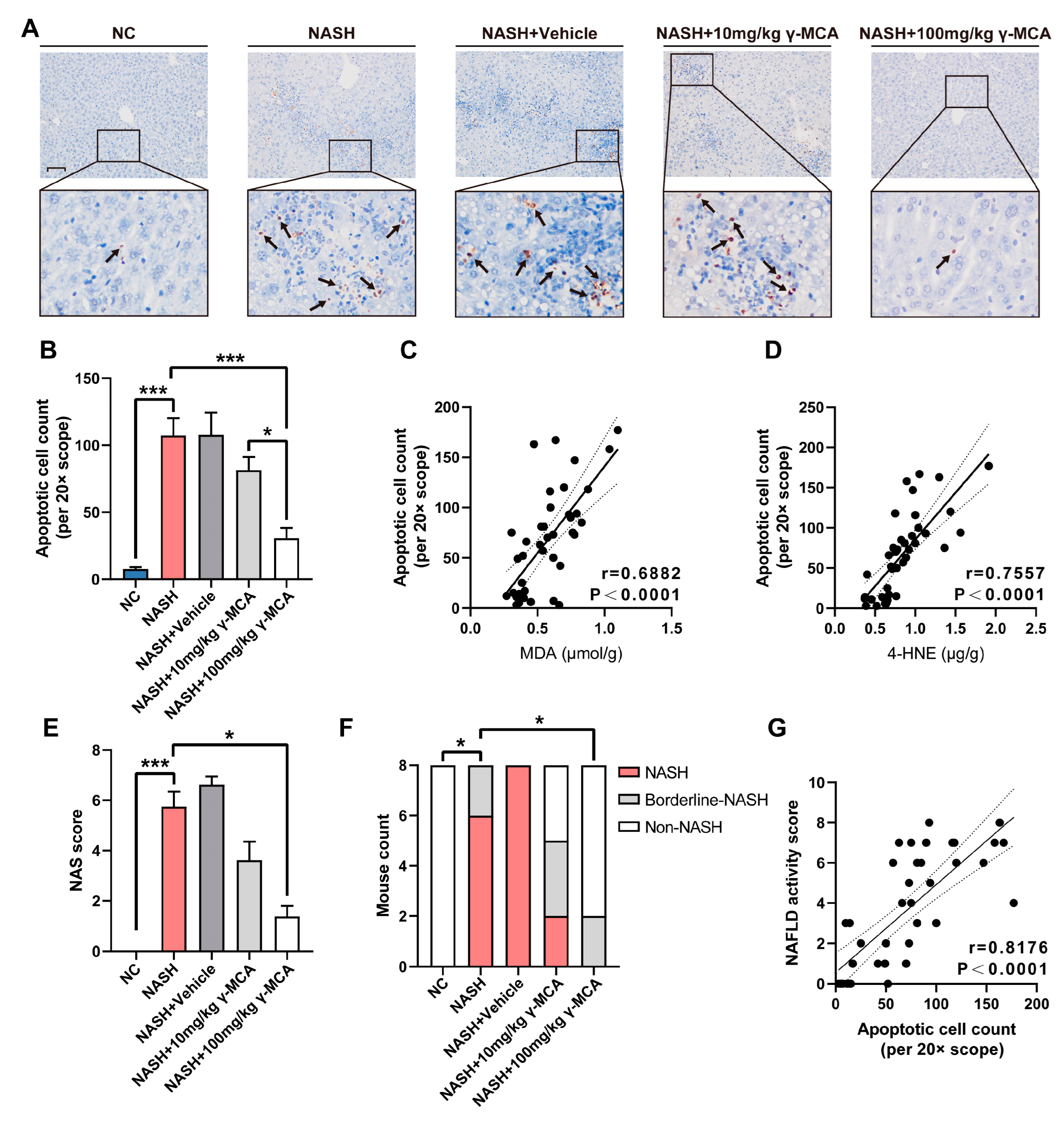 Nutrients 15 01255 g005 Nutrients 15 01255 g005
