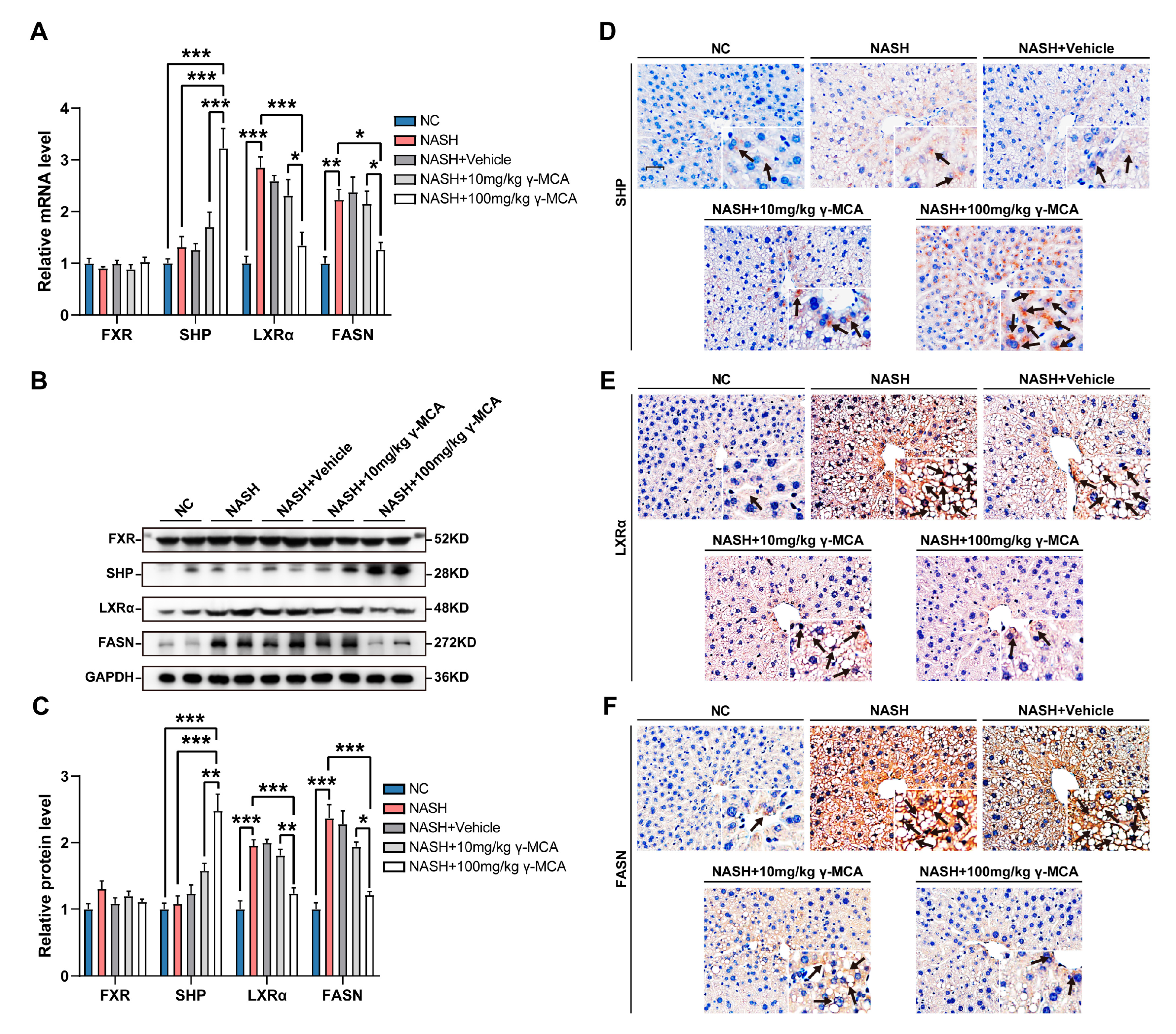 Nutrients 15 01255 g006 Nutrients 15 01255 g006