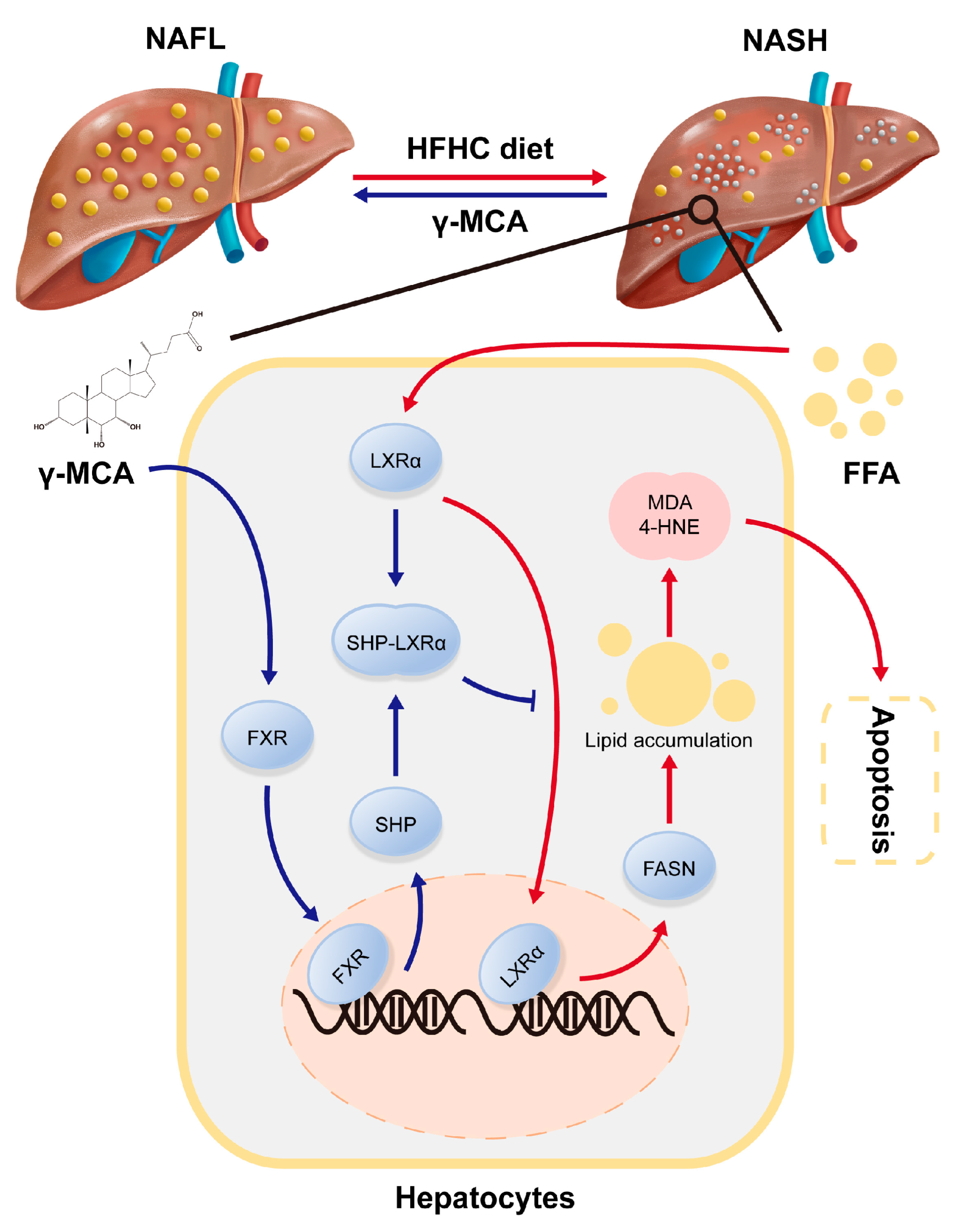 Nutrients 15 01255 g007 Nutrients 15 01255 g007
