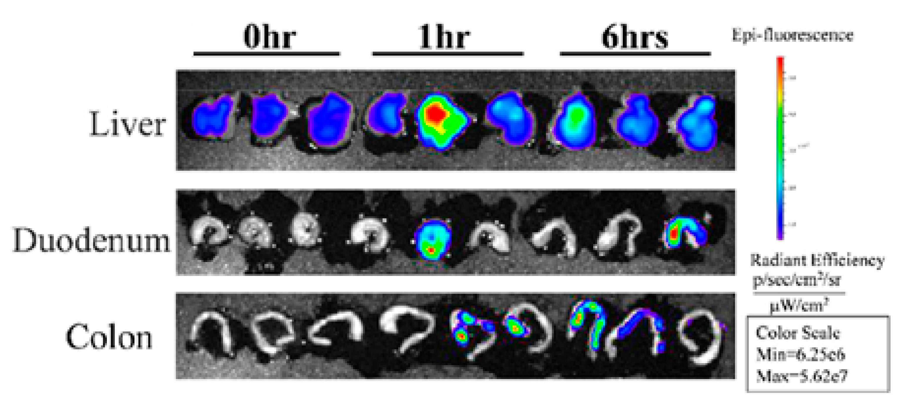 Nutrients 15 01265 g002 Nutrients 15 01265 g002