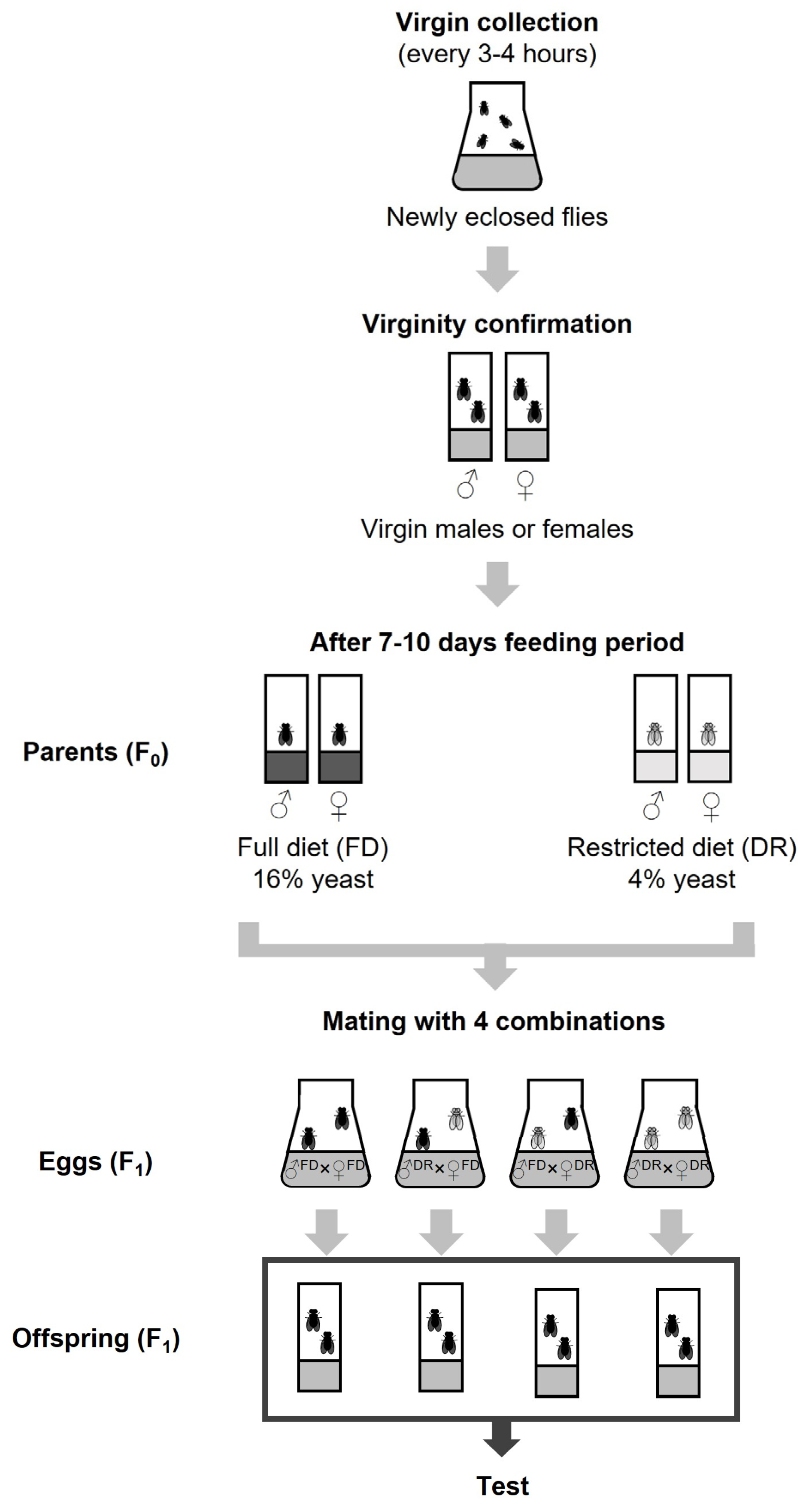 Nutrients 15 01273 g001
