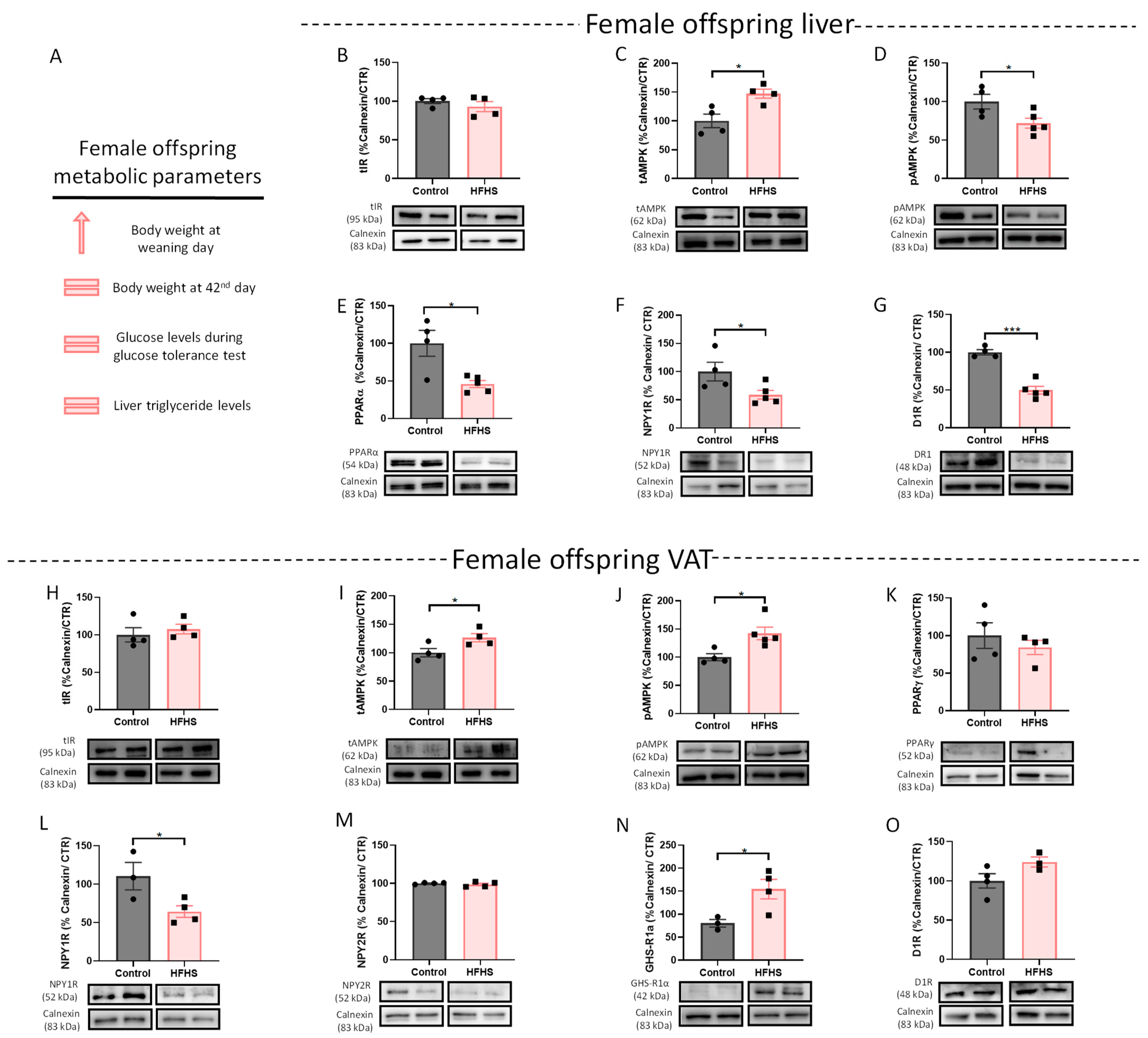Nutrients 15 01281 g002 Nutrients 15 01281 g002