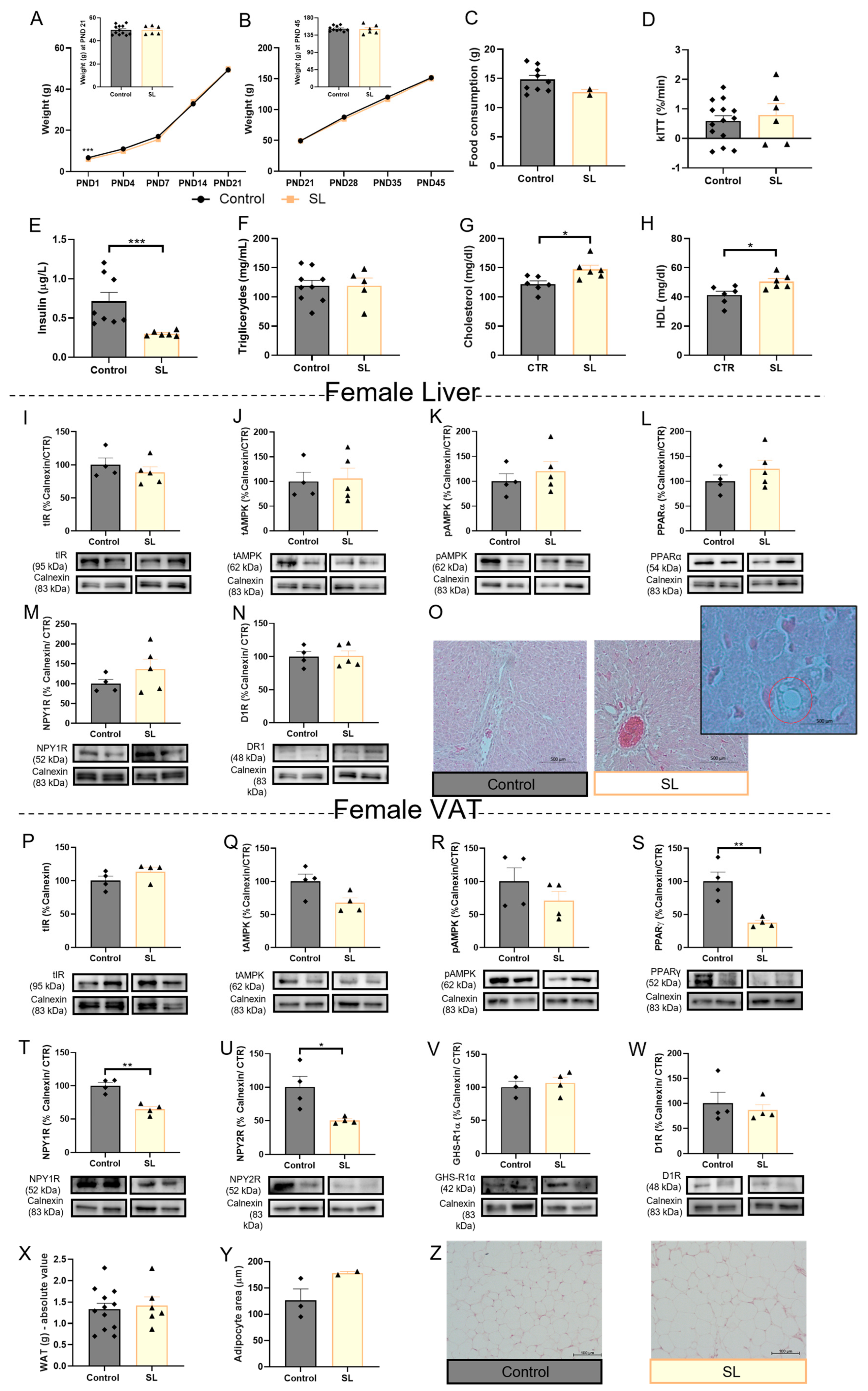 Nutrients 15 01281 g004 Nutrients 15 01281 g004