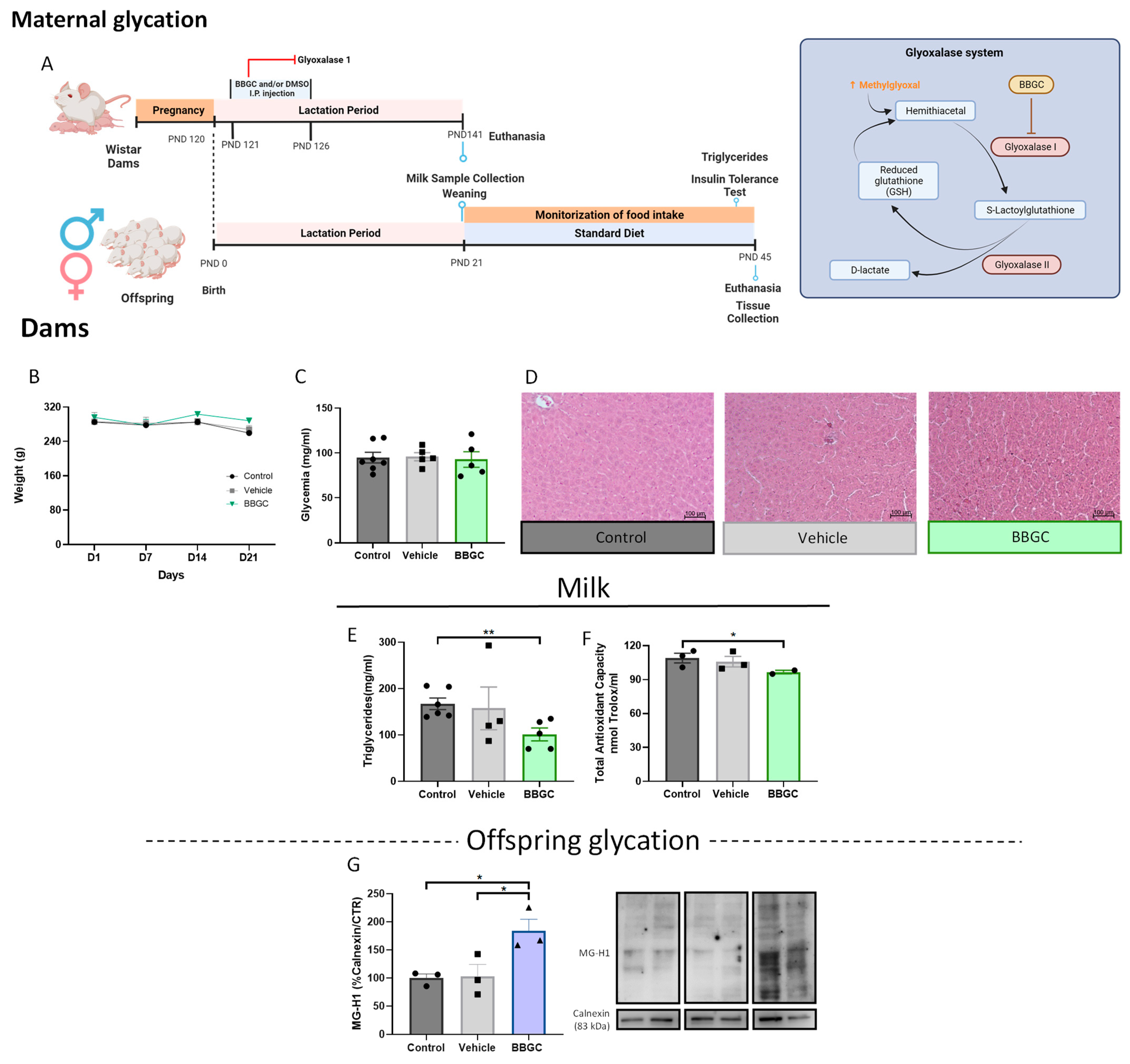 Nutrients 15 01281 g005 Nutrients 15 01281 g005