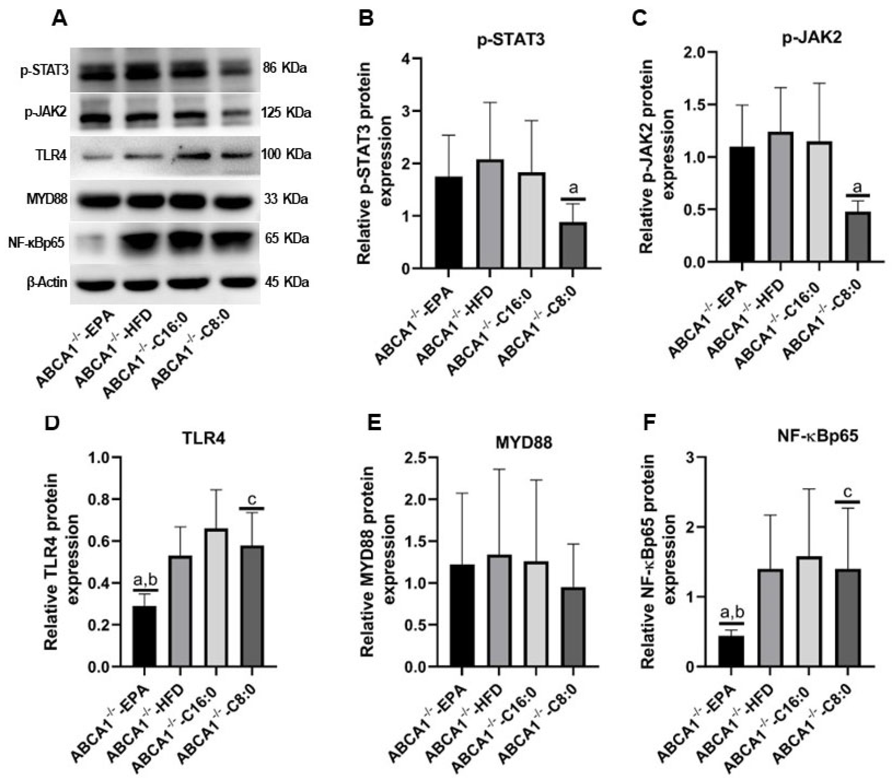 Nutrients 15 01296 g006 Nutrients 15 01296 g006