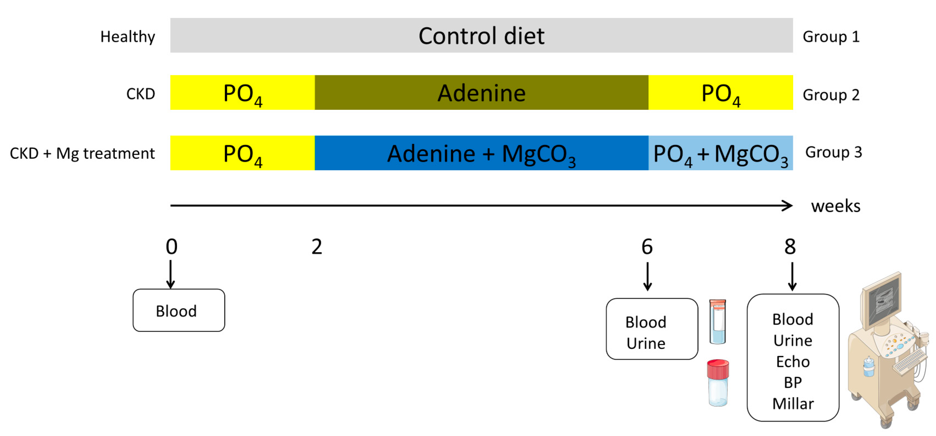 Nutrients 15 01303 g001 Nutrients 15 01303 g001