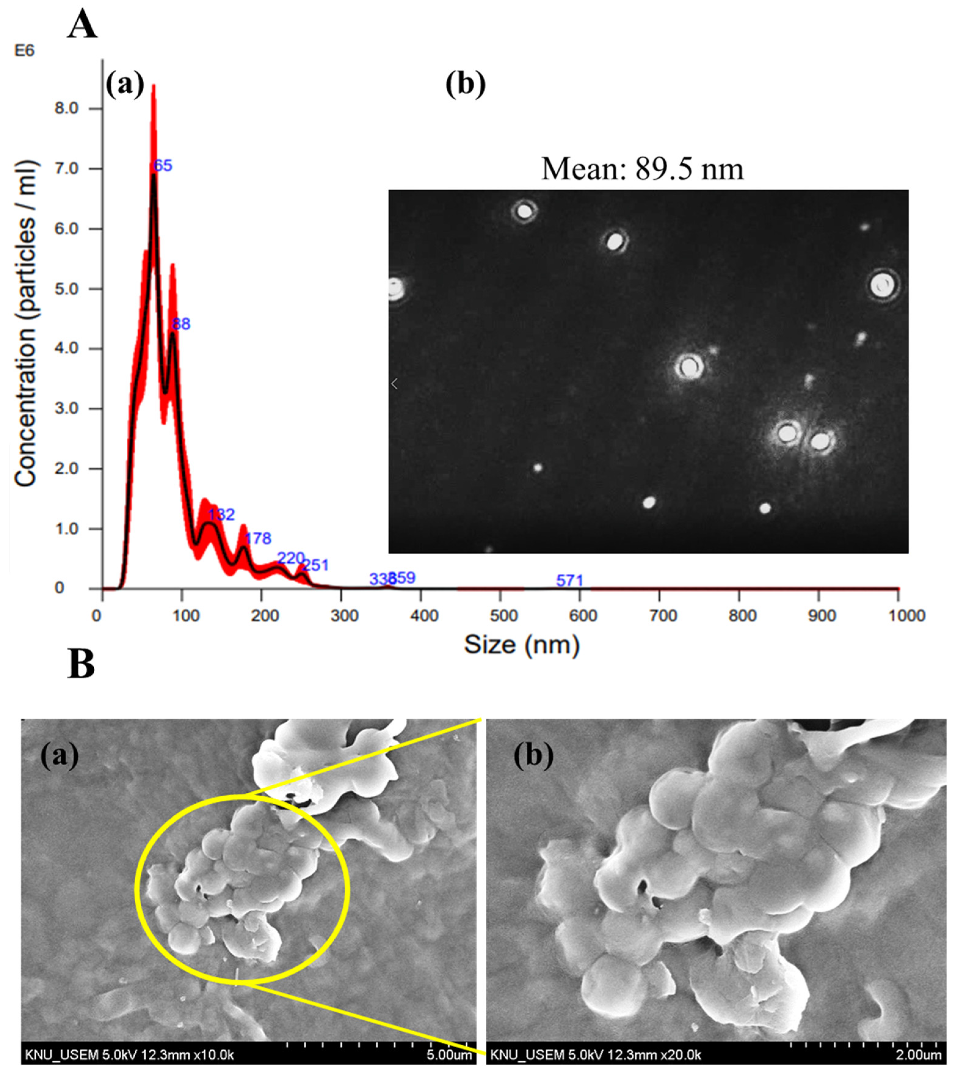 Nutrients 15 01319 g003 Nutrients 15 01319 g003