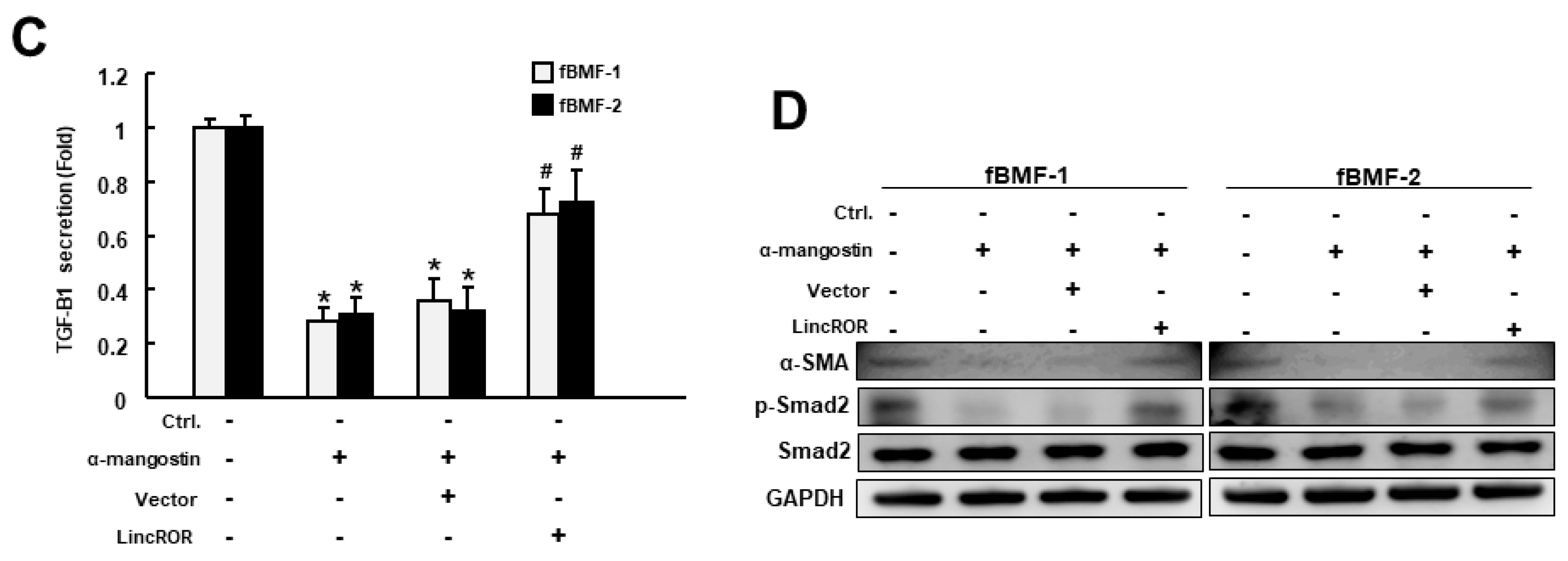 Nutrients 15 01321 g004b Nutrients 15 01321 g004b