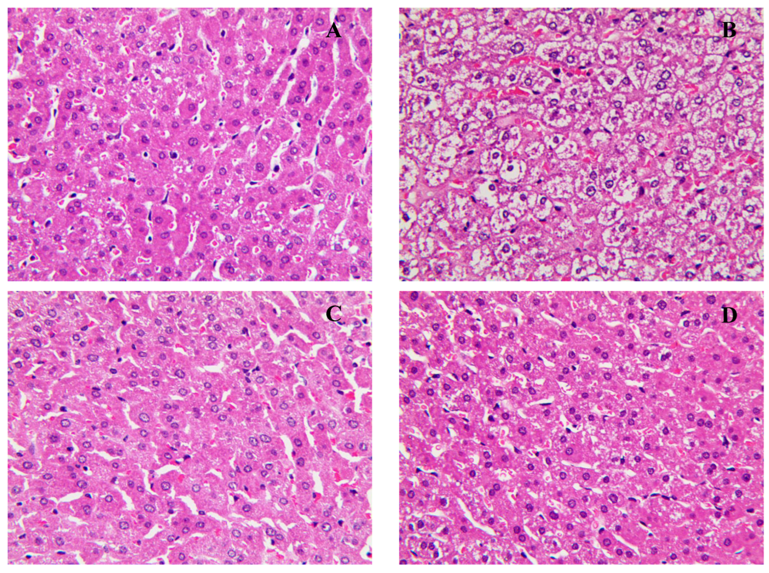 Nutrients 15 01329 g005 Nutrients 15 01329 g005