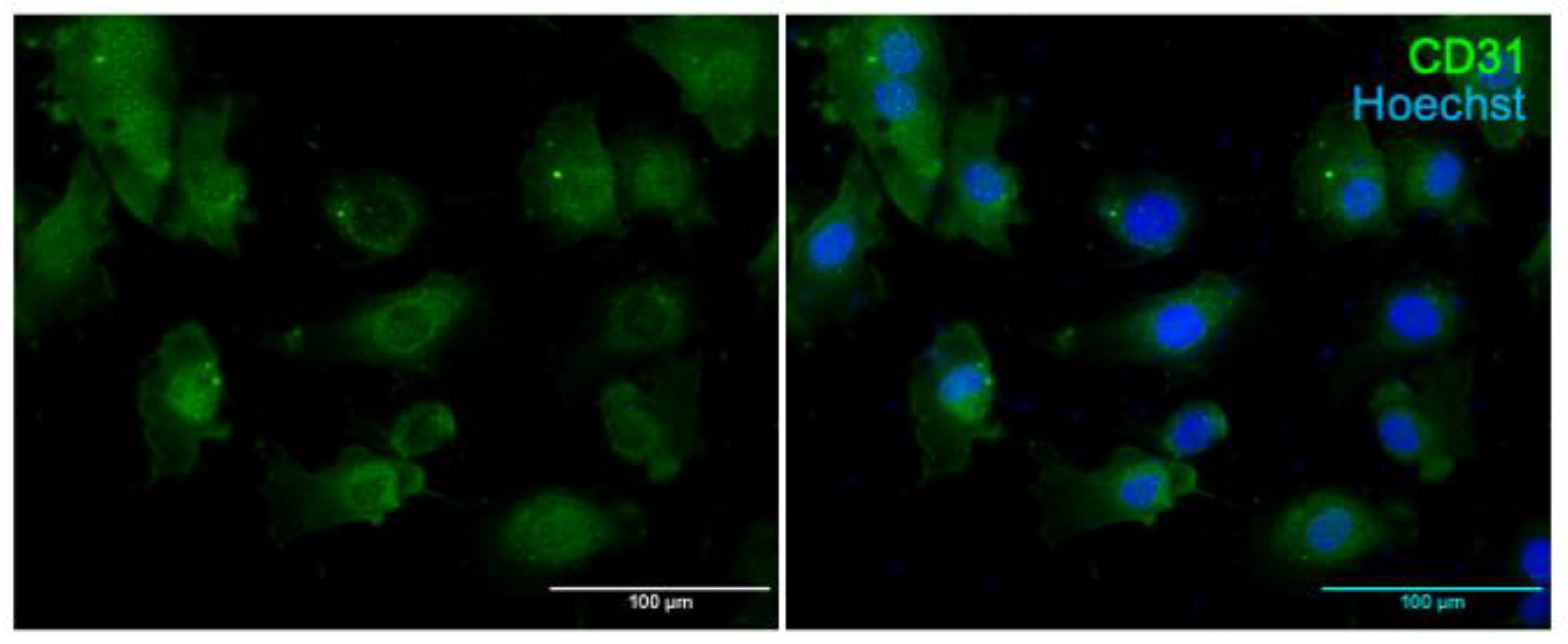 Nutrients 15 01334 g001