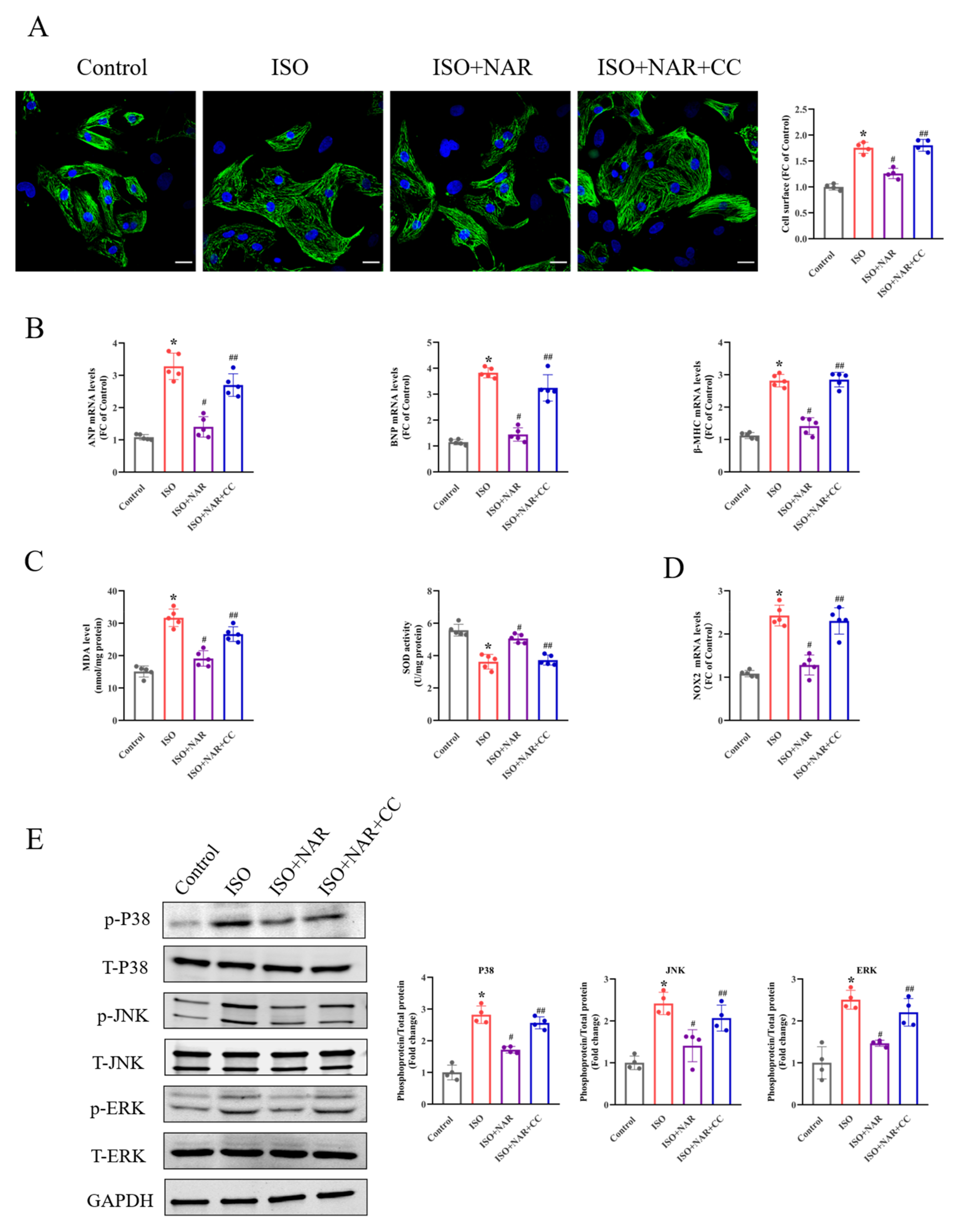 Nutrients 15 01340 g002