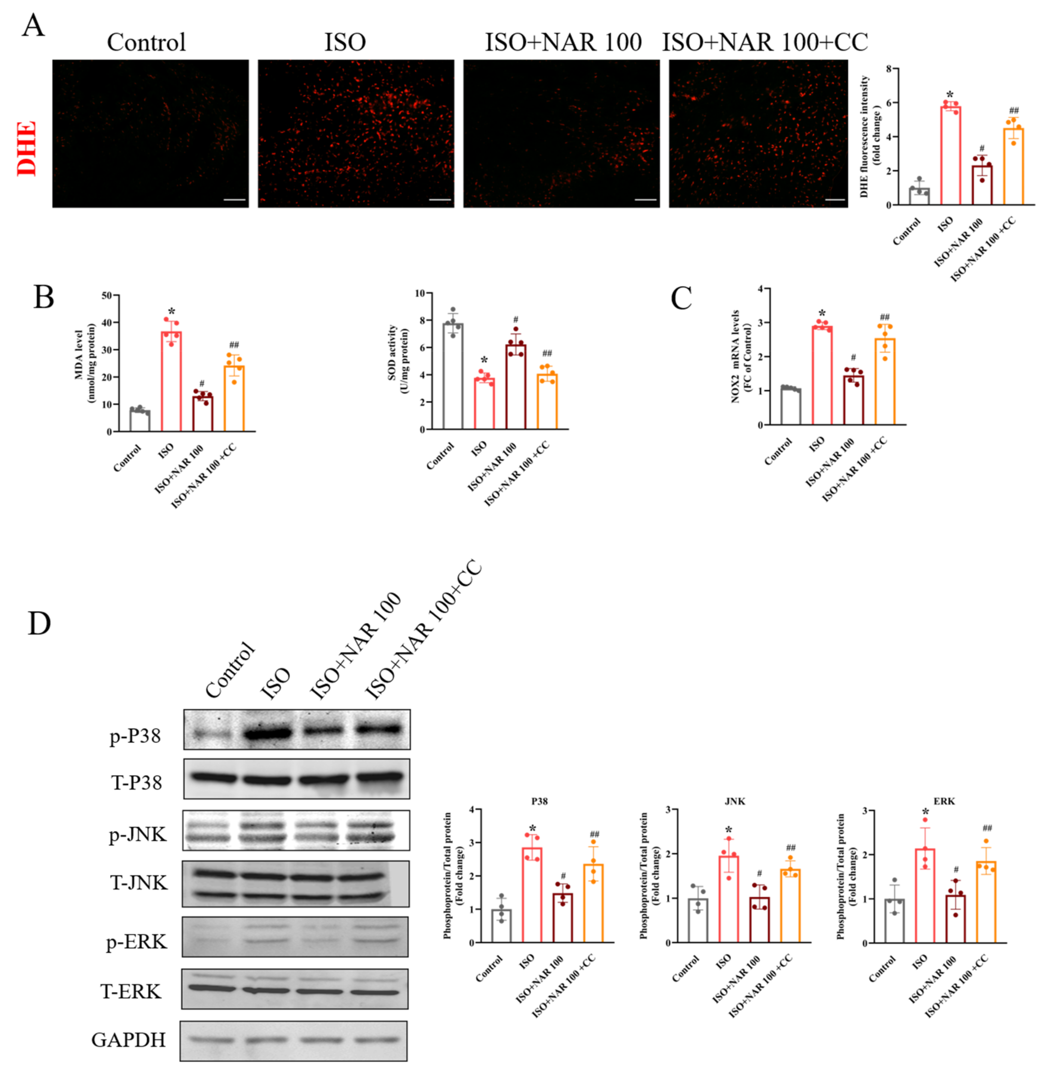 Nutrients 15 01340 g003