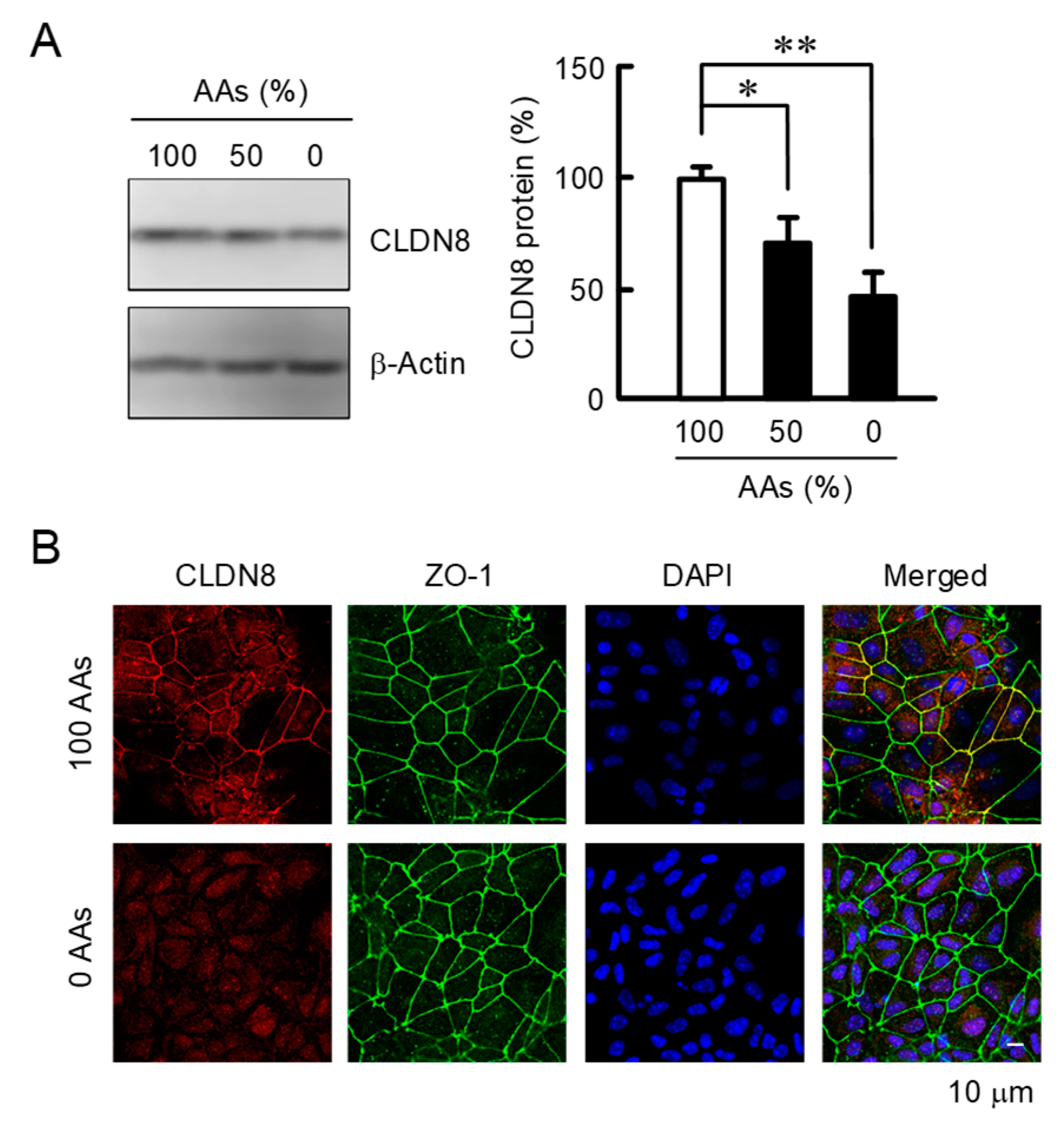 Nutrients 15 01346 g002 Nutrients 15 01346 g002