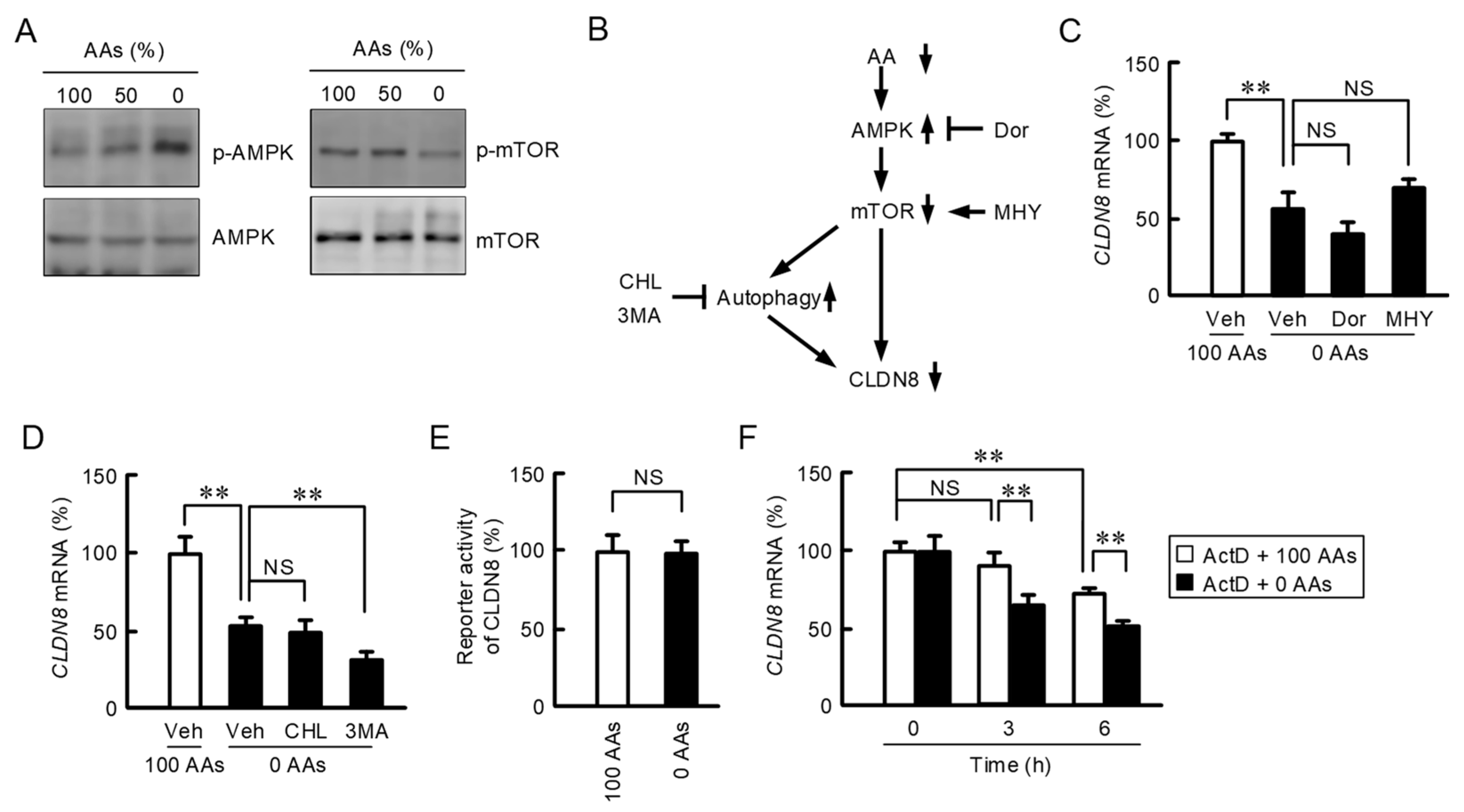 Nutrients 15 01346 g003 Nutrients 15 01346 g003