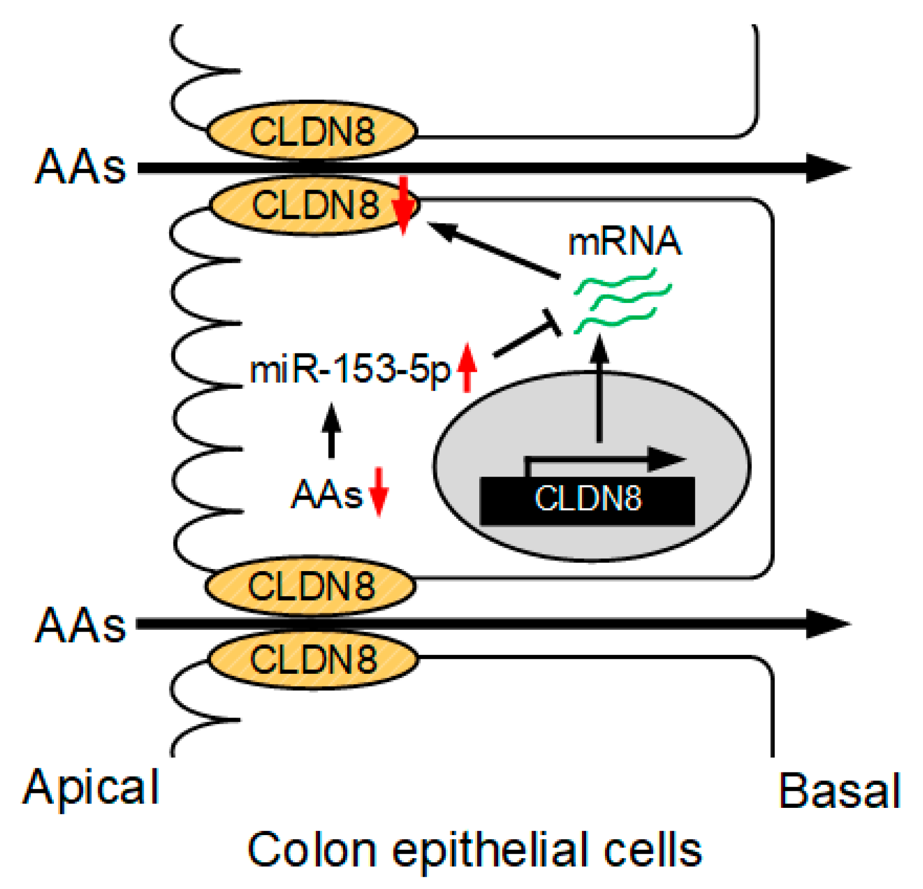 Nutrients 15 01346 g008 Nutrients 15 01346 g008