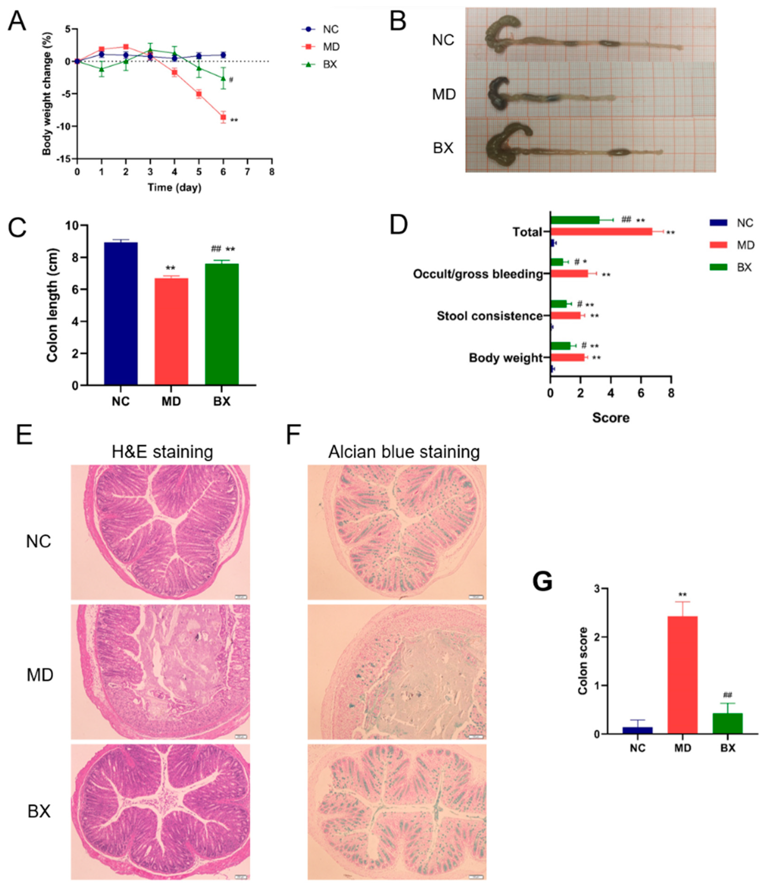 Nutrients 15 01352 g003 Nutrients 15 01352 g003