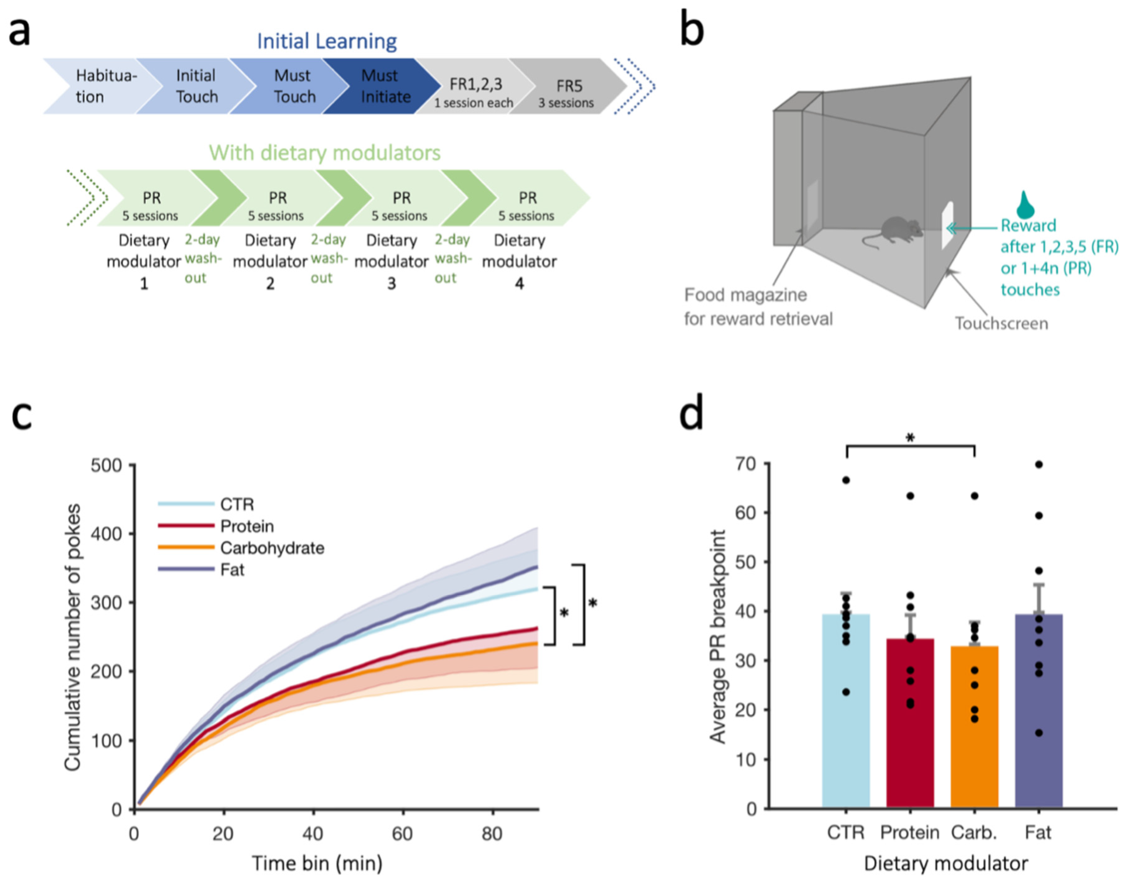 Nutrients 15 01356 g002 Nutrients 15 01356 g002