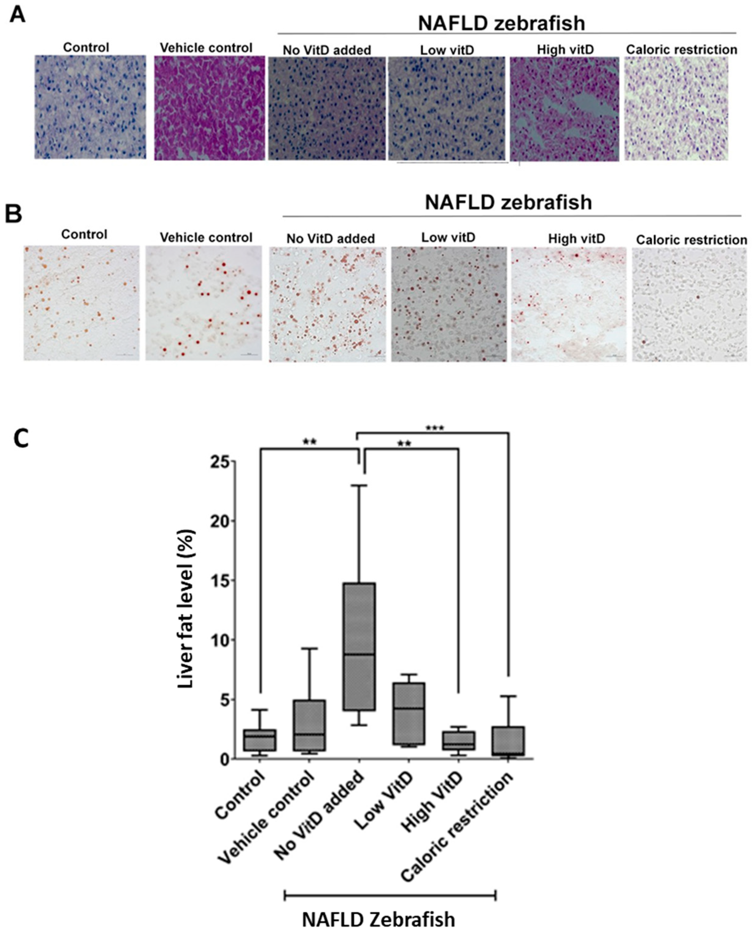 Nutrients 15 01362 g002