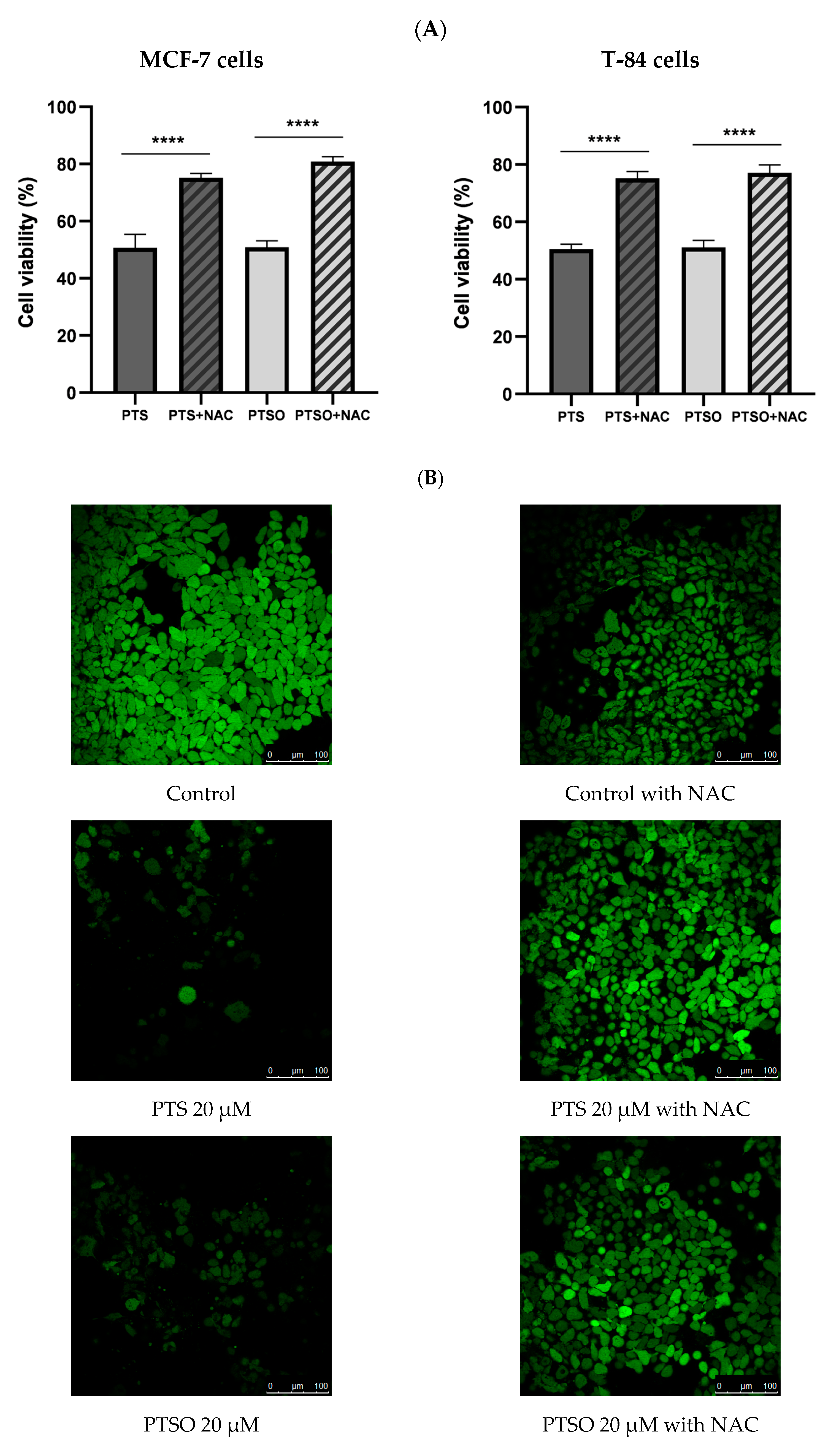 Nutrients 15 01363 g003a Nutrients 15 01363 g003a