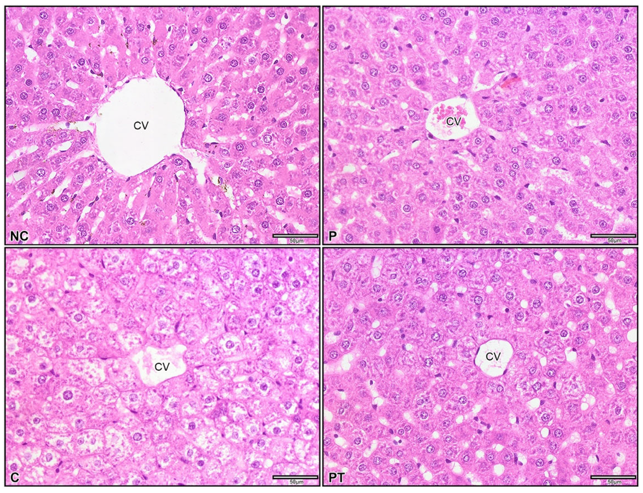 Nutrients 15 01388 g006