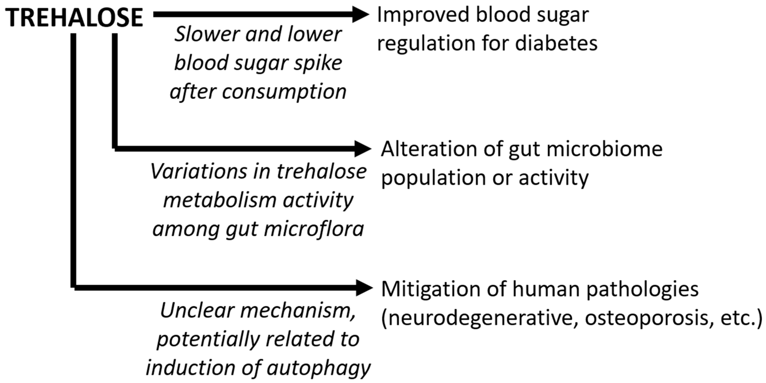 Nutrients 15 01393 g002 Nutrients 15 01393 g002