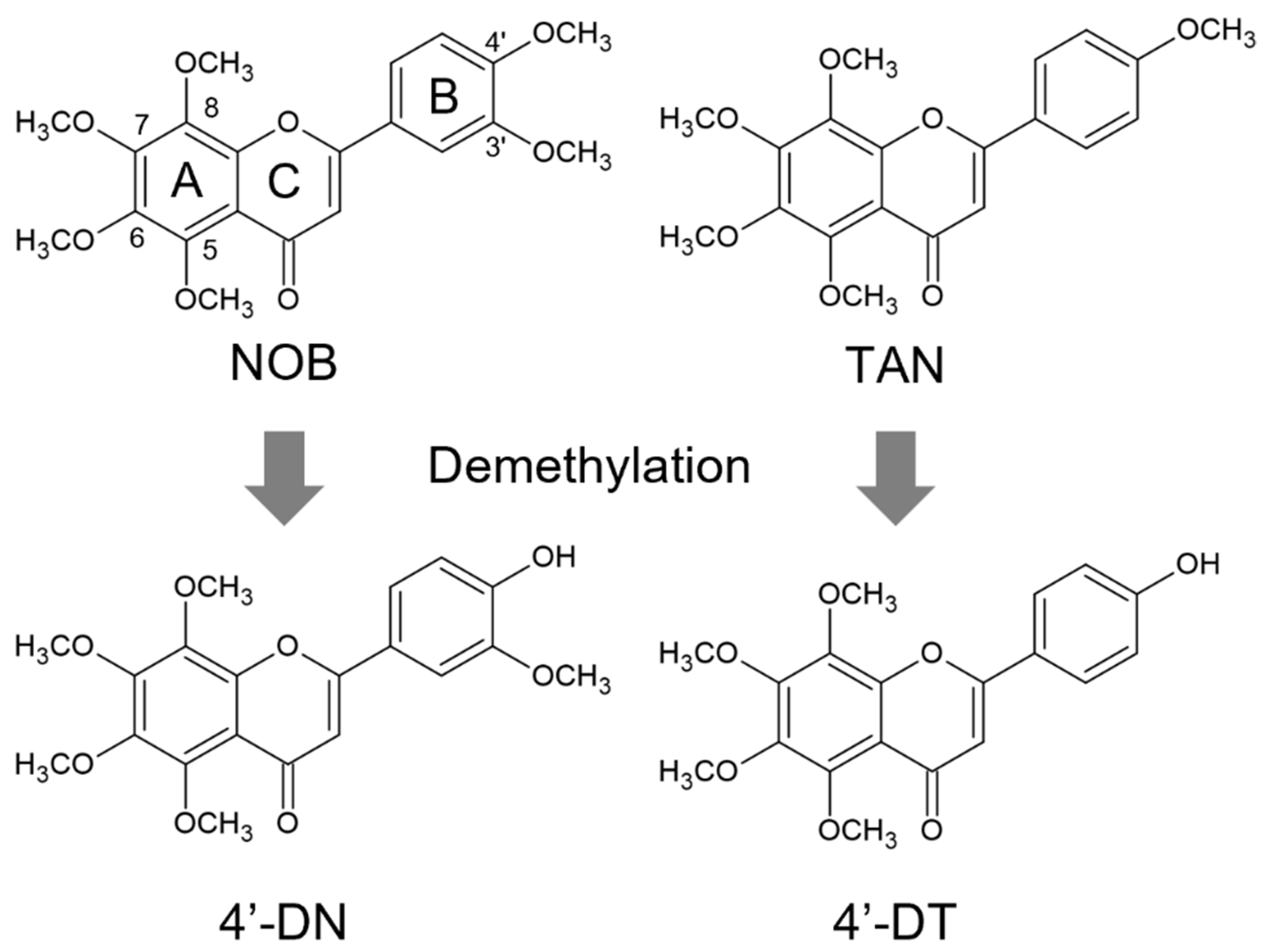 Nutrients 15 01403 g001 Nutrients 15 01403 g001