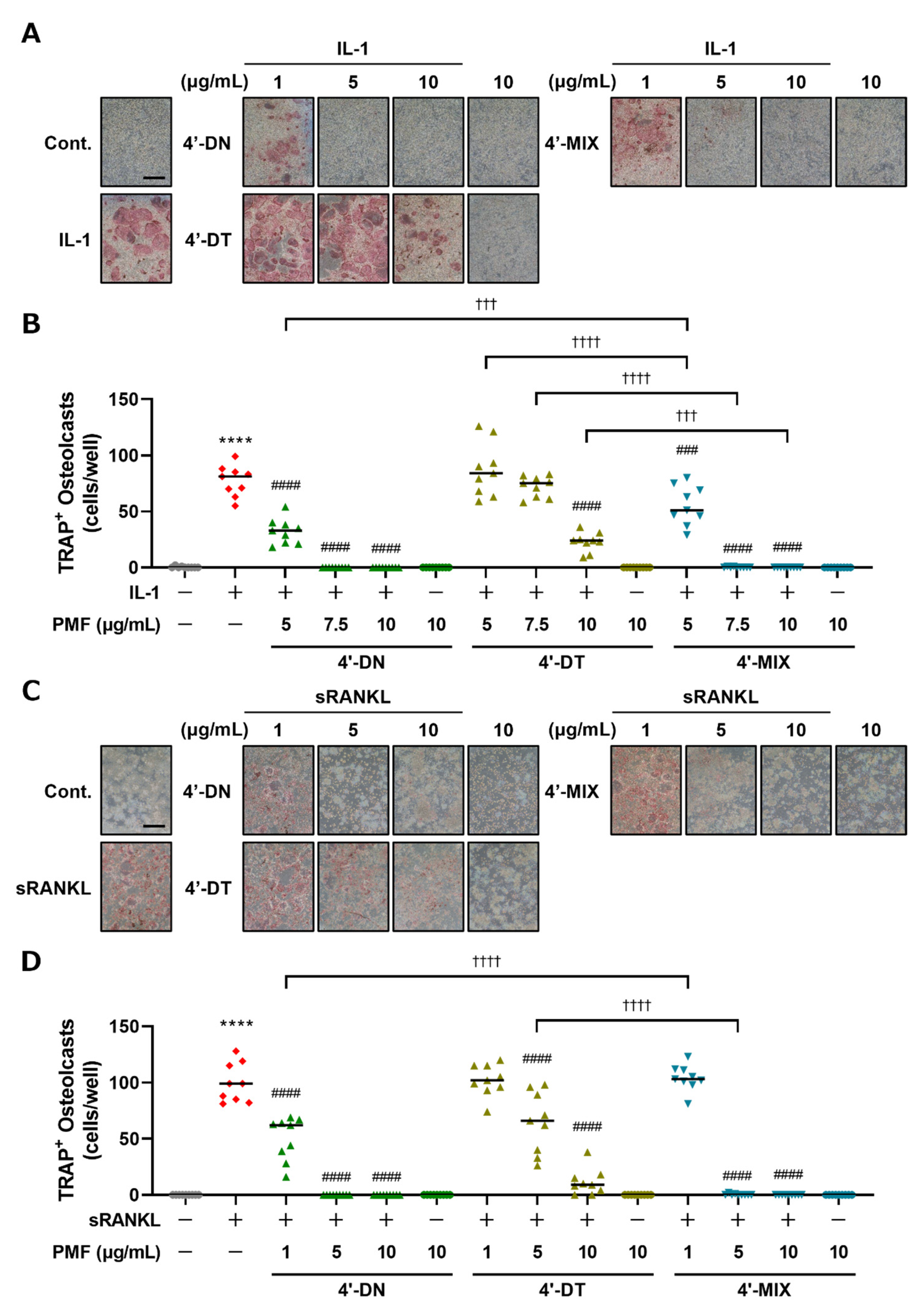 Nutrients 15 01403 g003 Nutrients 15 01403 g003