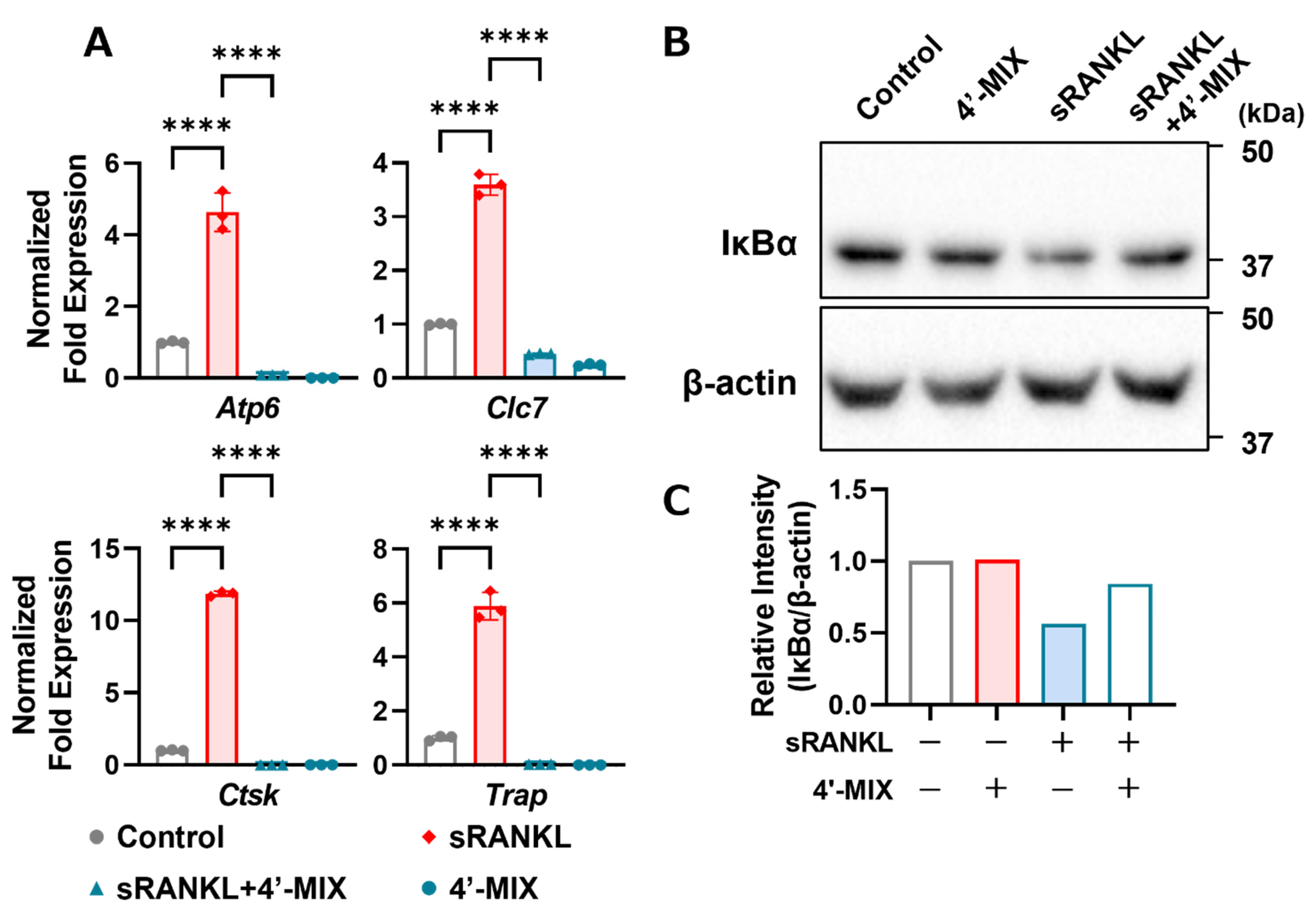 Nutrients 15 01403 g004 Nutrients 15 01403 g004