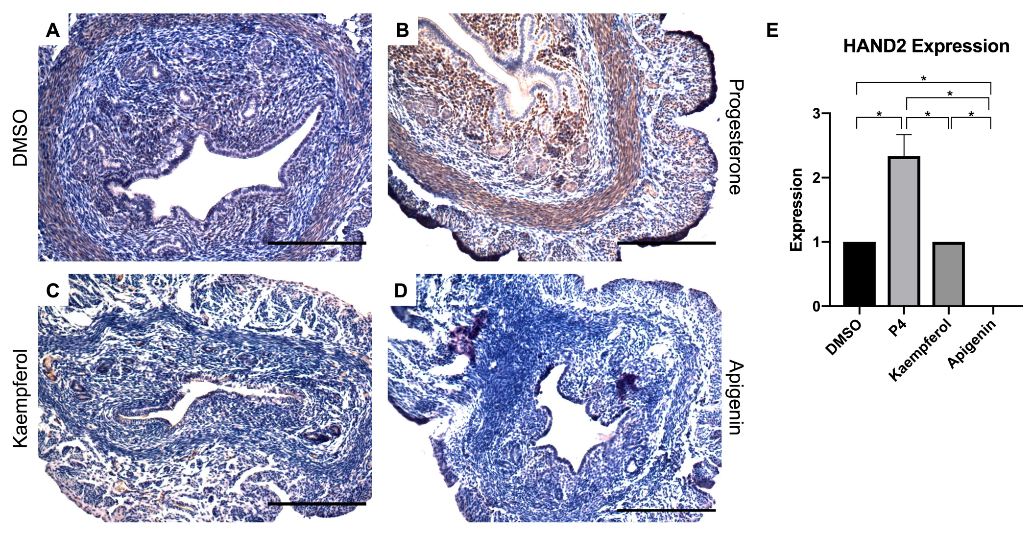 Nutrients 15 01407 g001 Nutrients 15 01407 g001