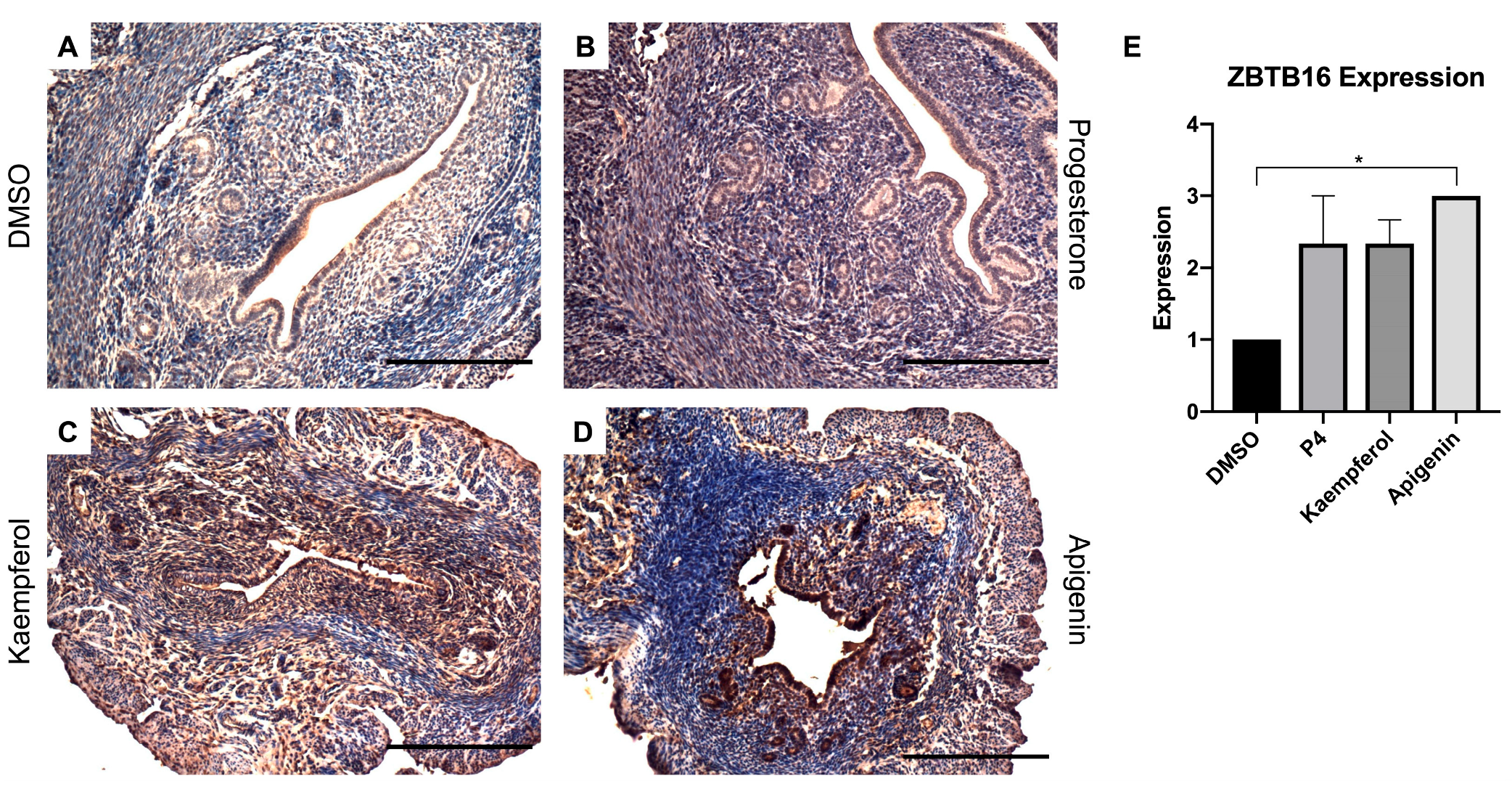 Nutrients 15 01407 g002 Nutrients 15 01407 g002