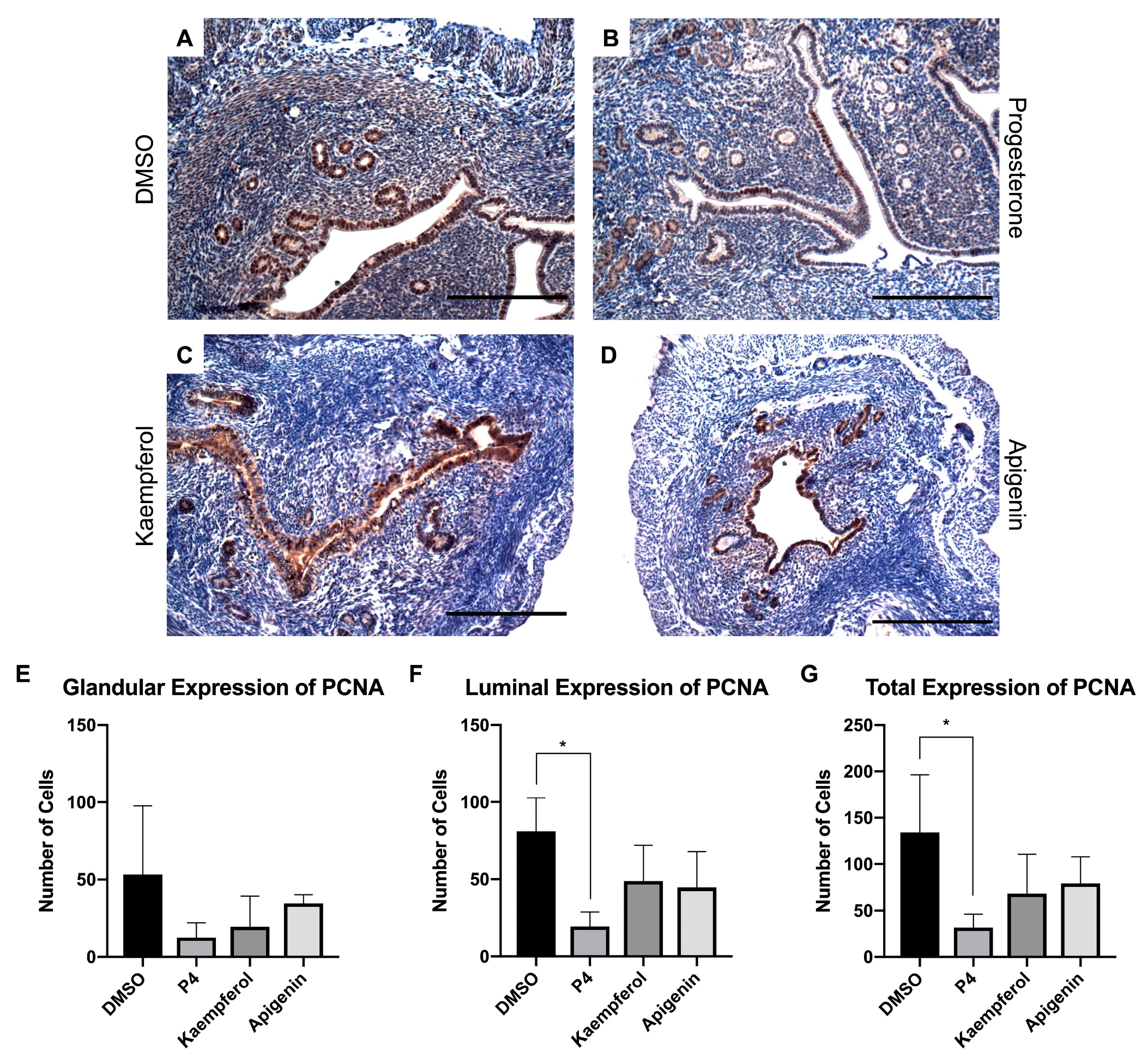 Nutrients 15 01407 g004 Nutrients 15 01407 g004