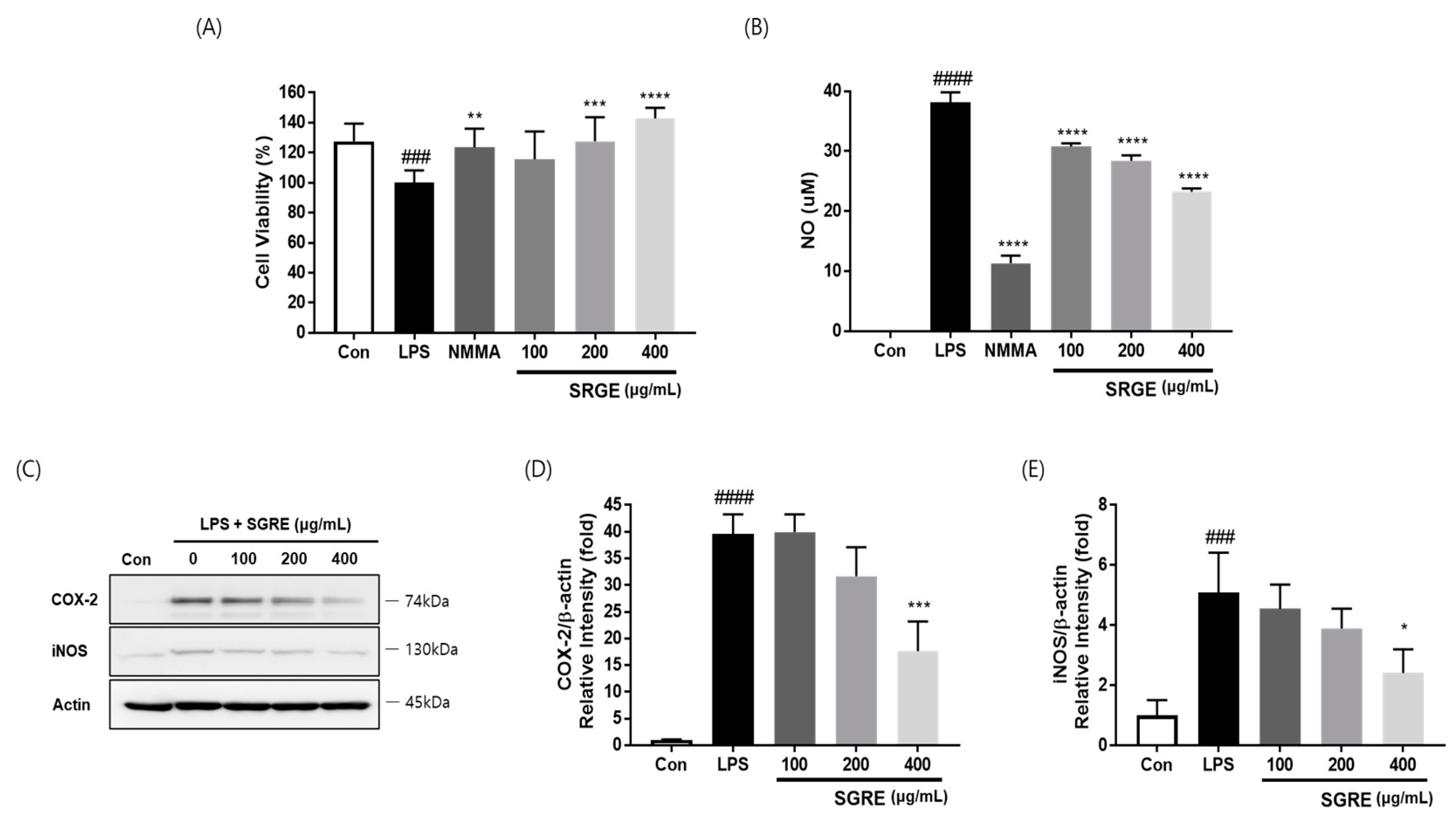 Nutrients 15 01417 g002 Nutrients 15 01417 g002